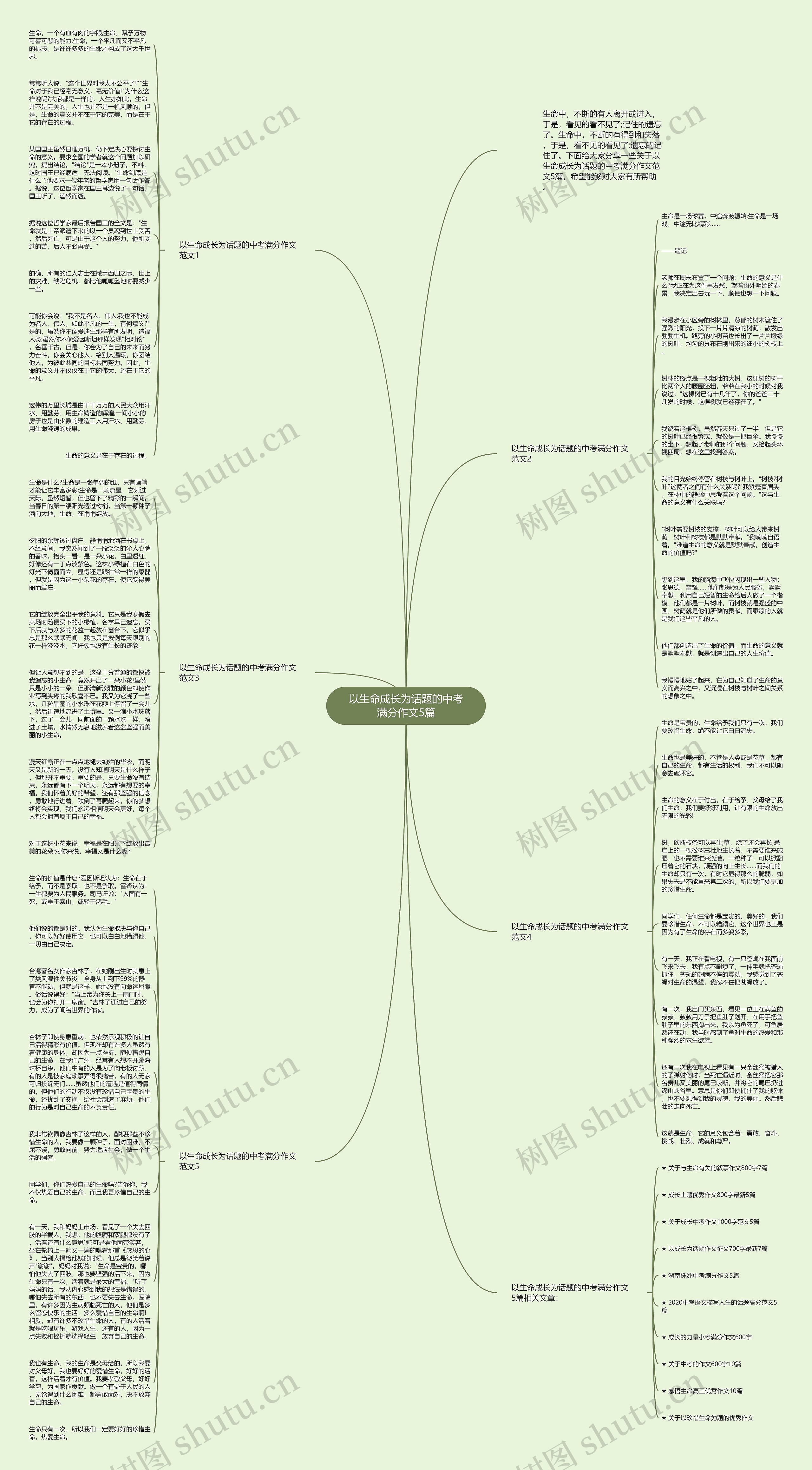 以生命成长为话题的中考满分作文5篇思维导图