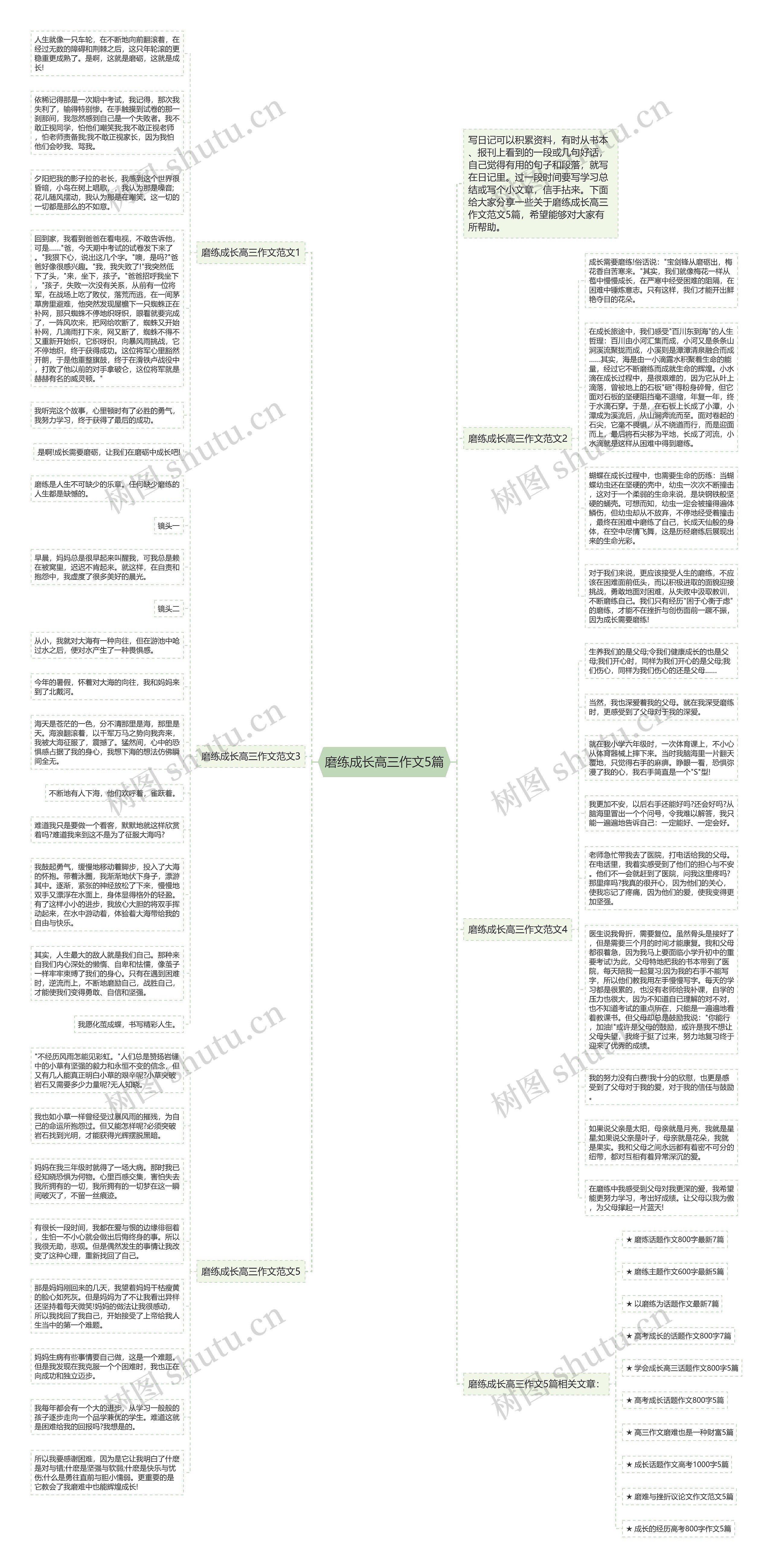 磨练成长高三作文5篇思维导图