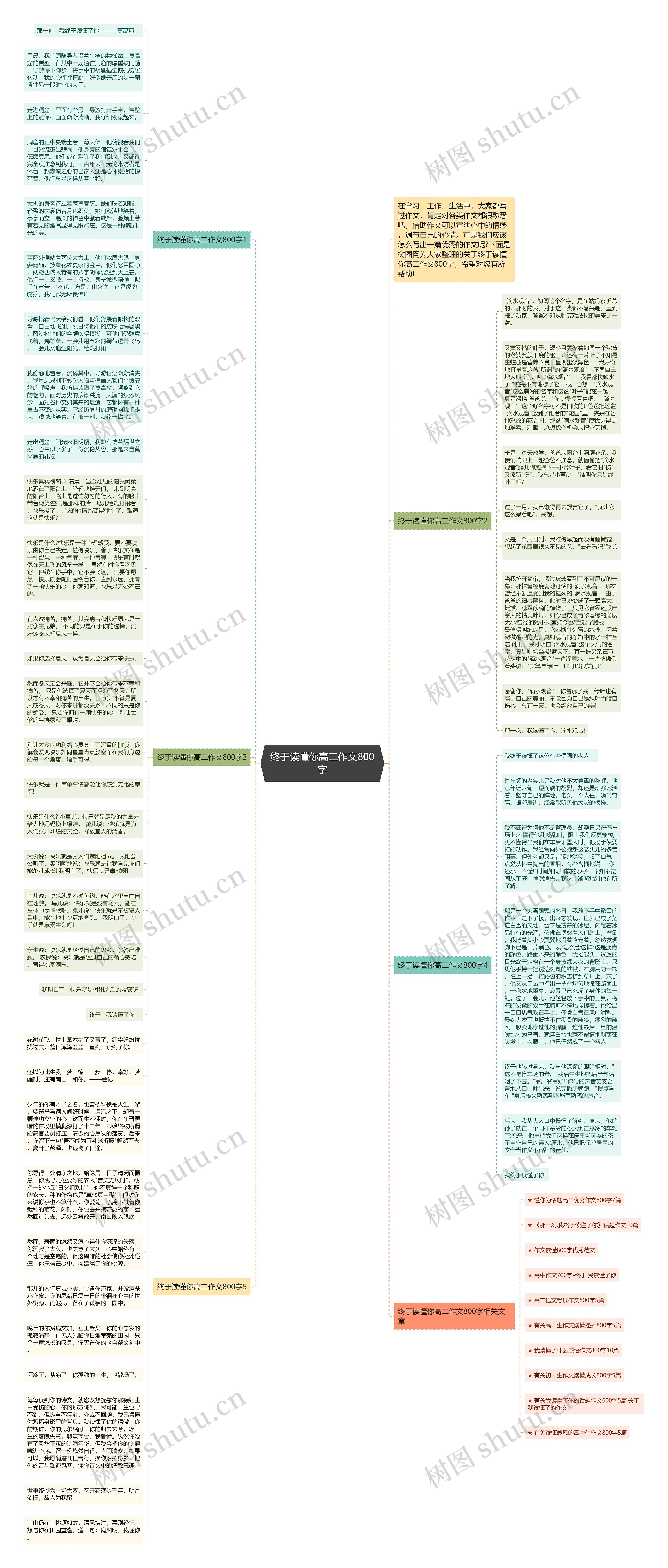 终于读懂你高二作文800字思维导图