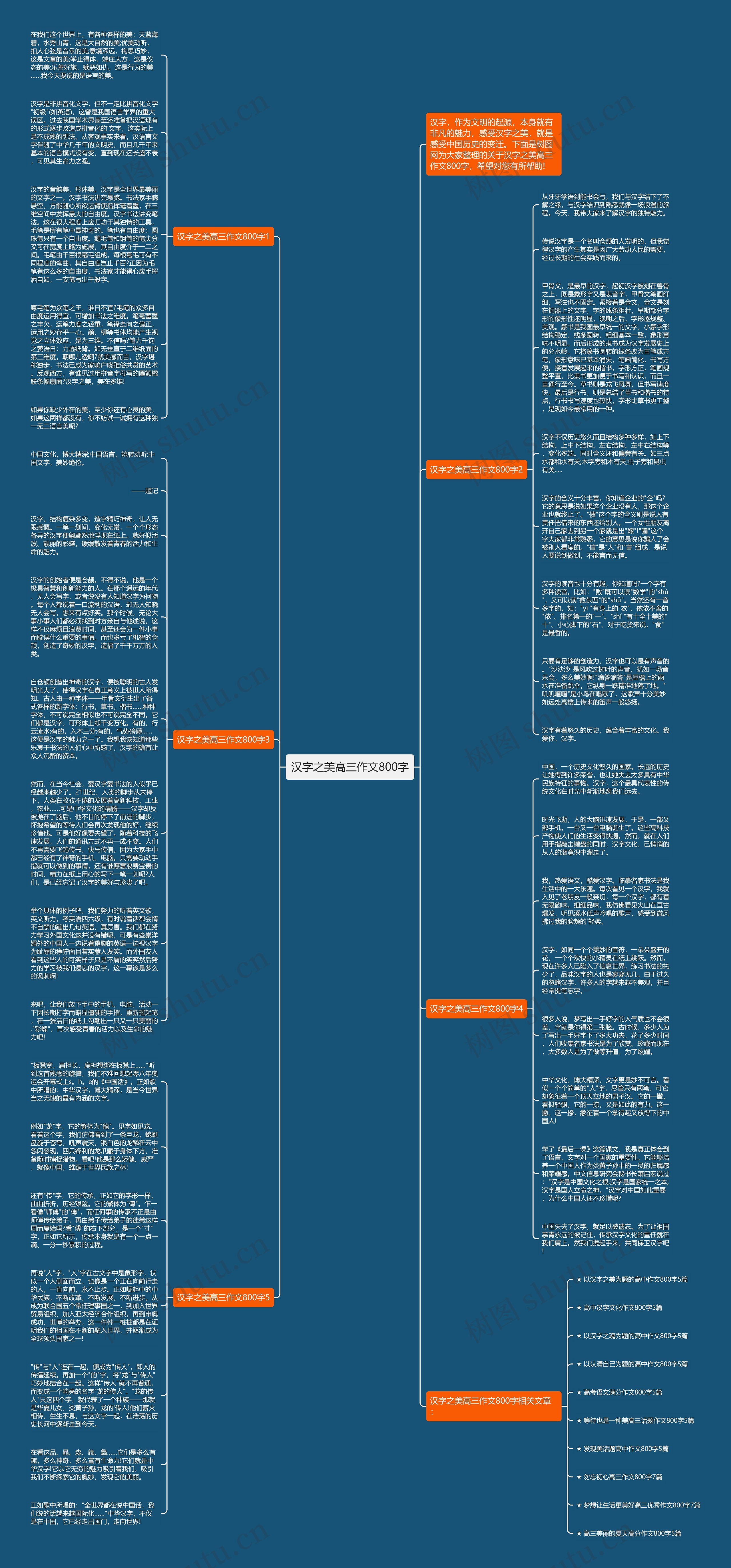 汉字之美高三作文800字
