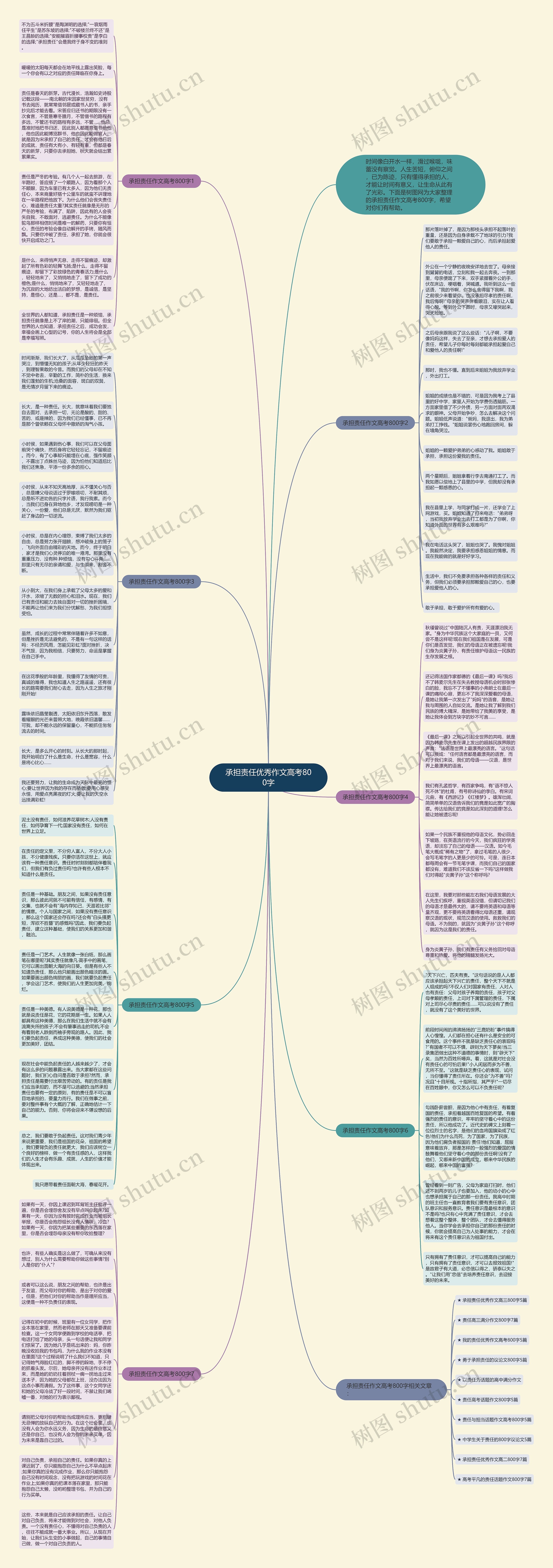 承担责任优秀作文高考800字思维导图