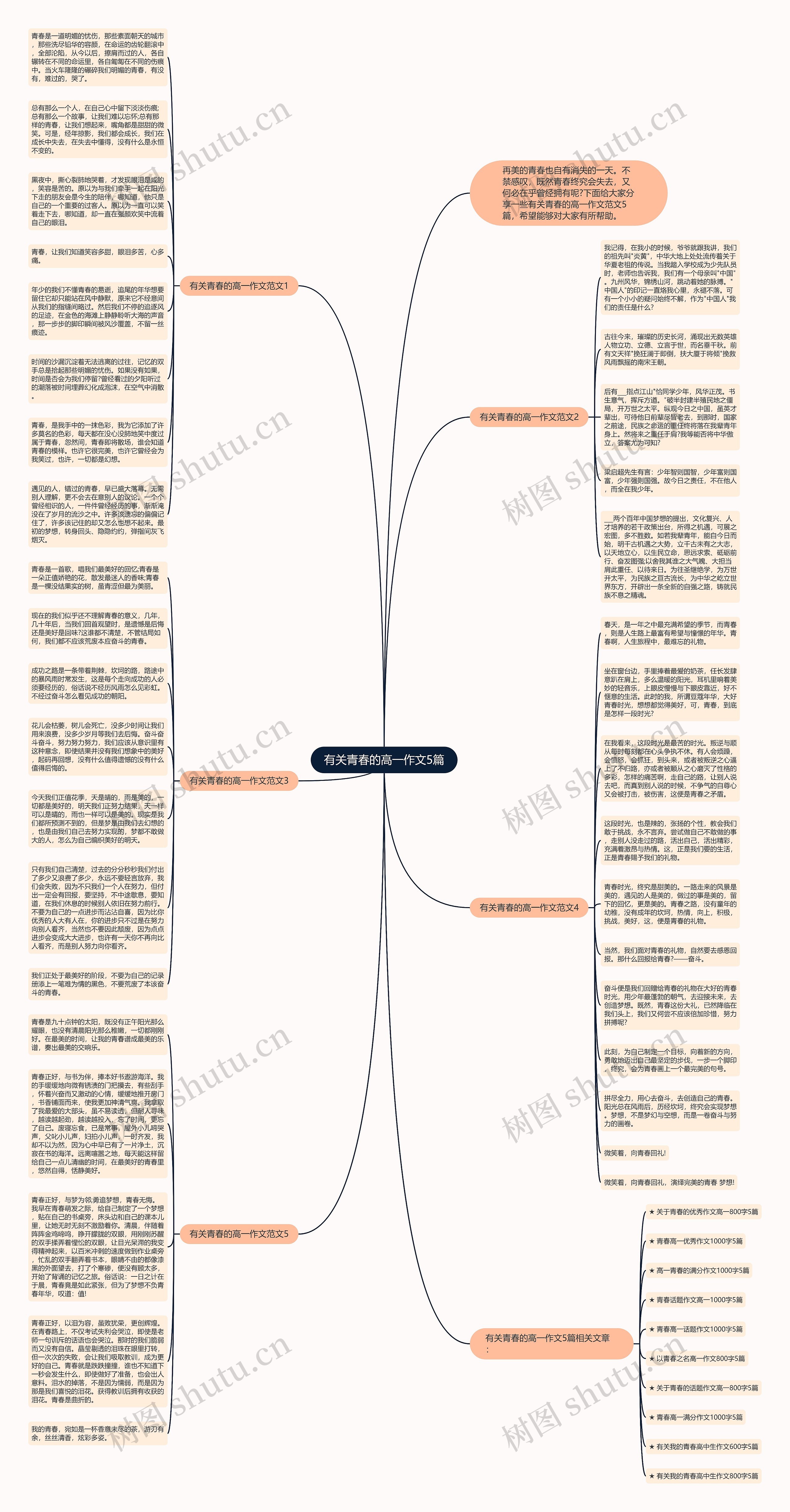 有关青春的高一作文5篇思维导图