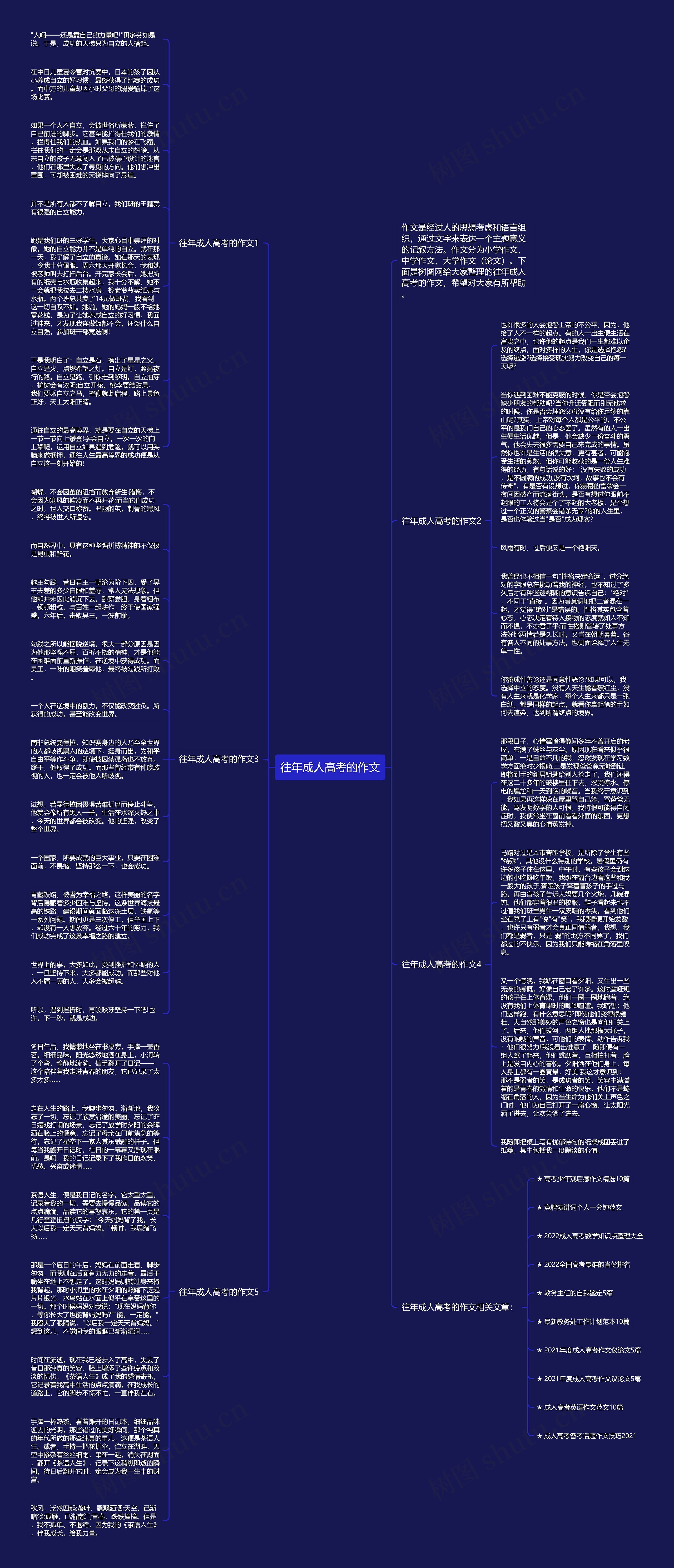 往年成人高考的作文思维导图