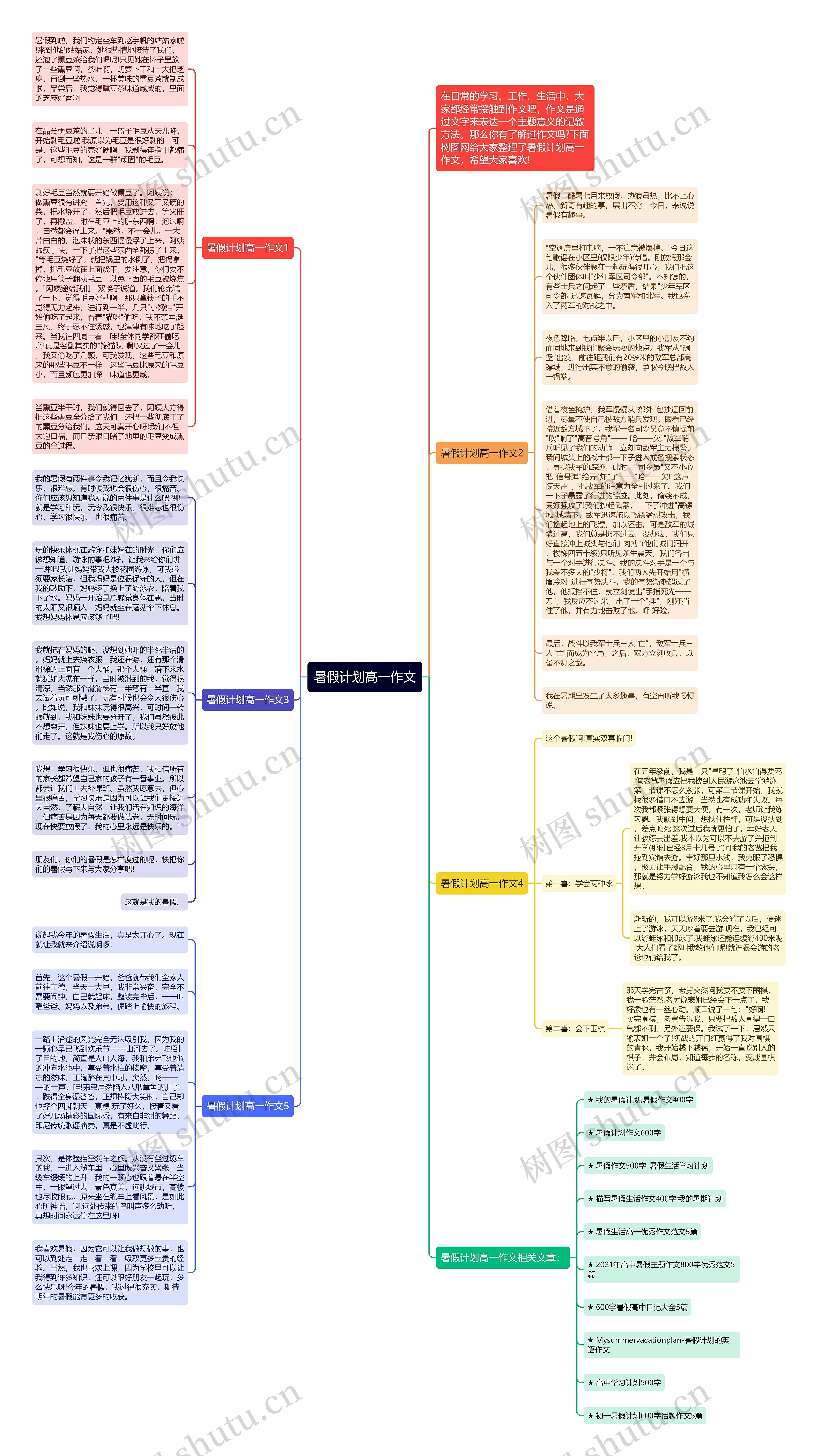 暑假计划高一作文思维导图