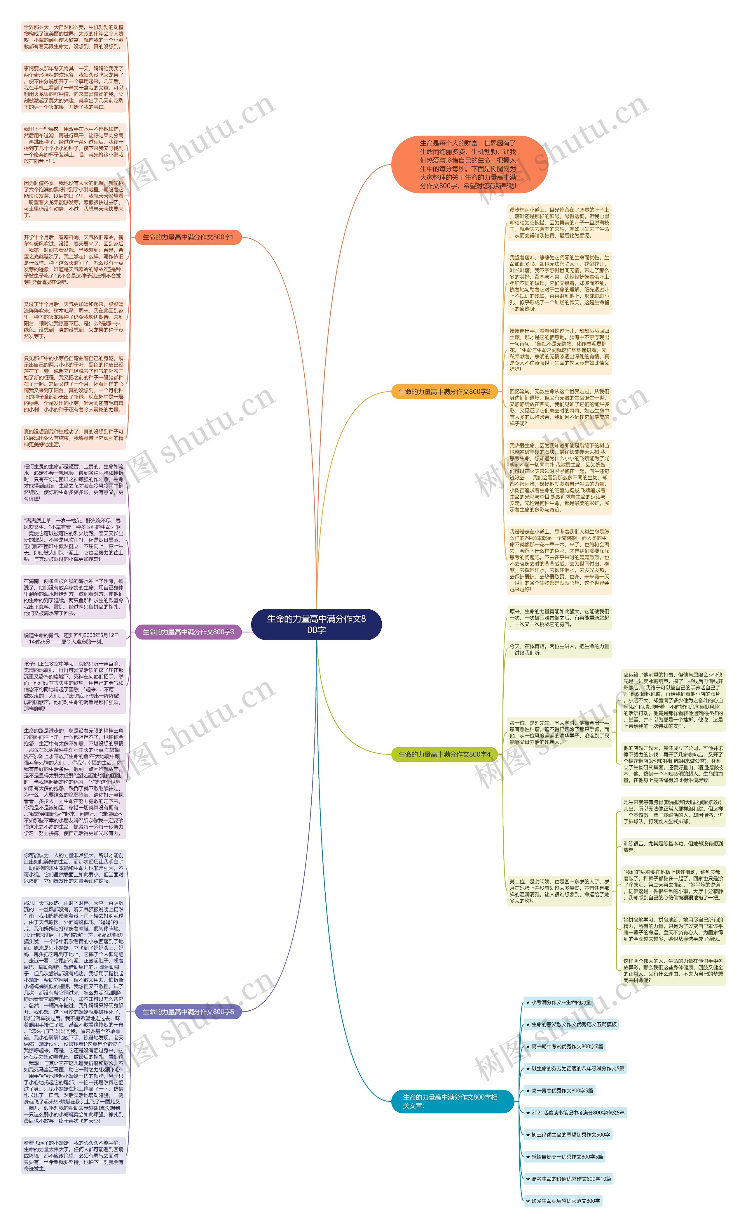 生命的力量高中满分作文800字思维导图