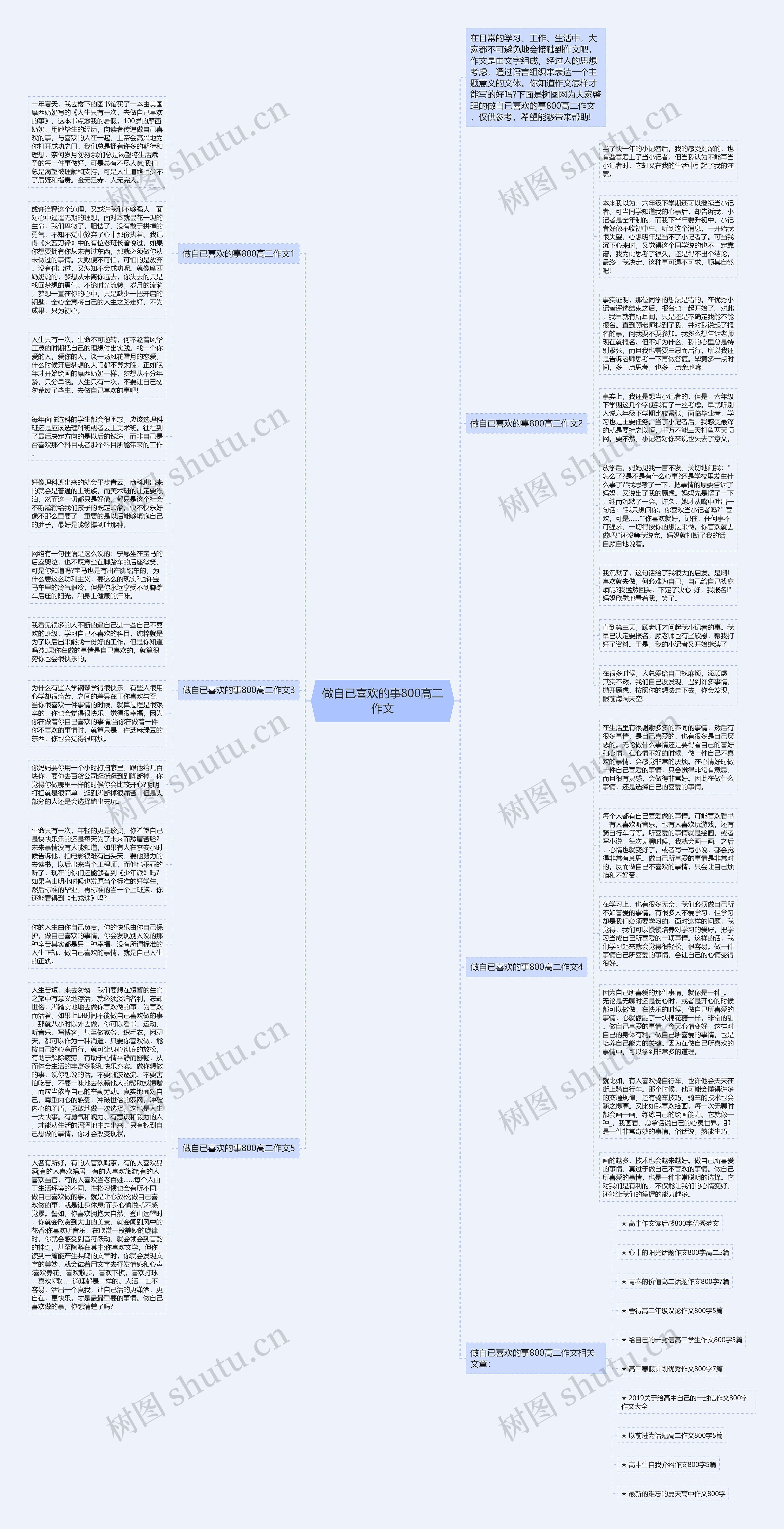做自已喜欢的事800高二作文思维导图