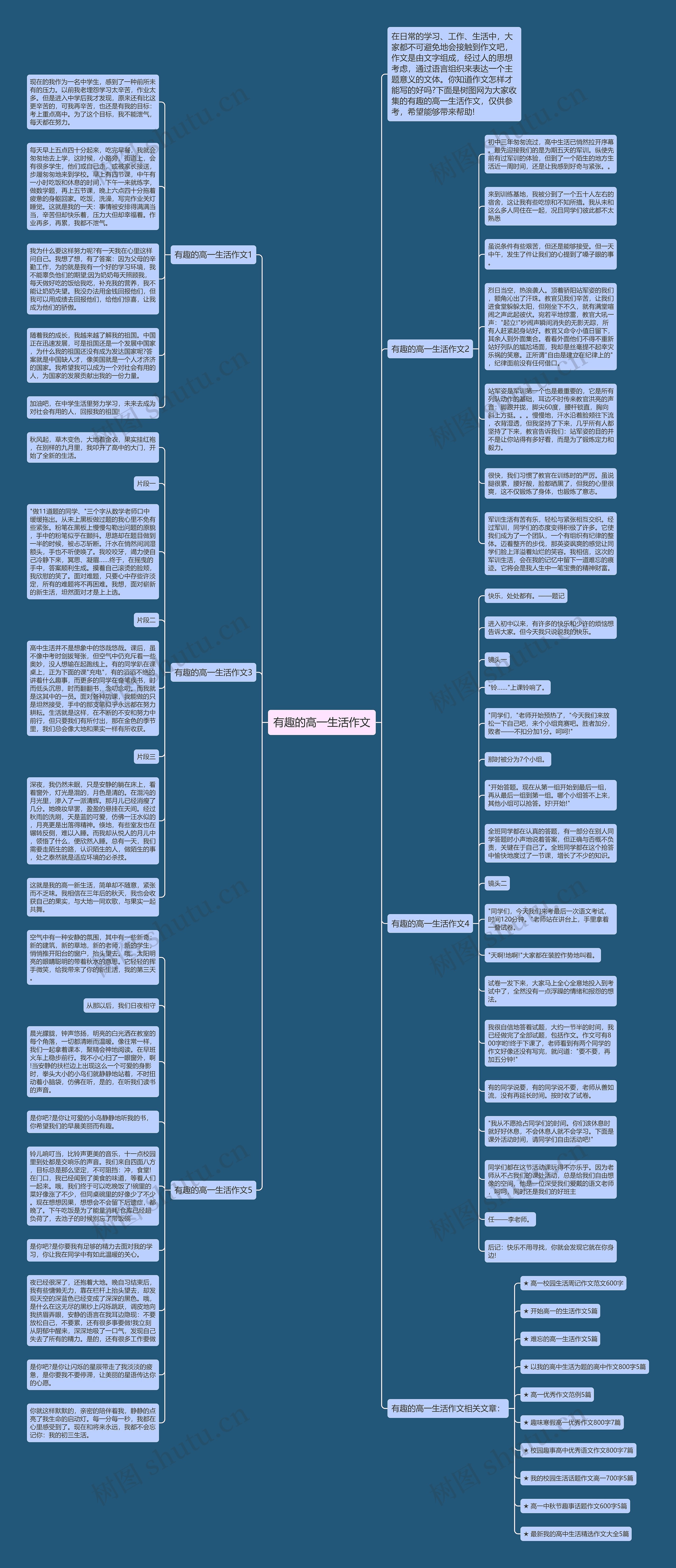 有趣的高一生活作文思维导图