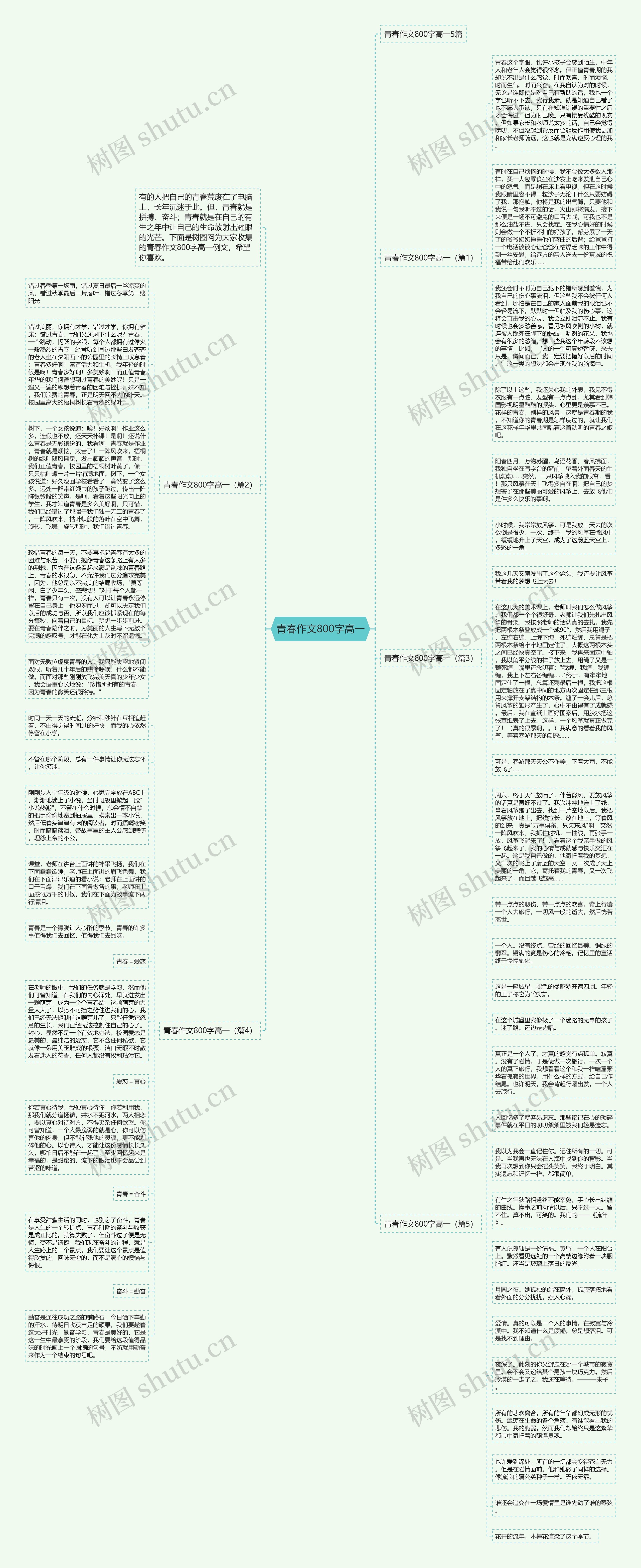 青春作文800字高一思维导图