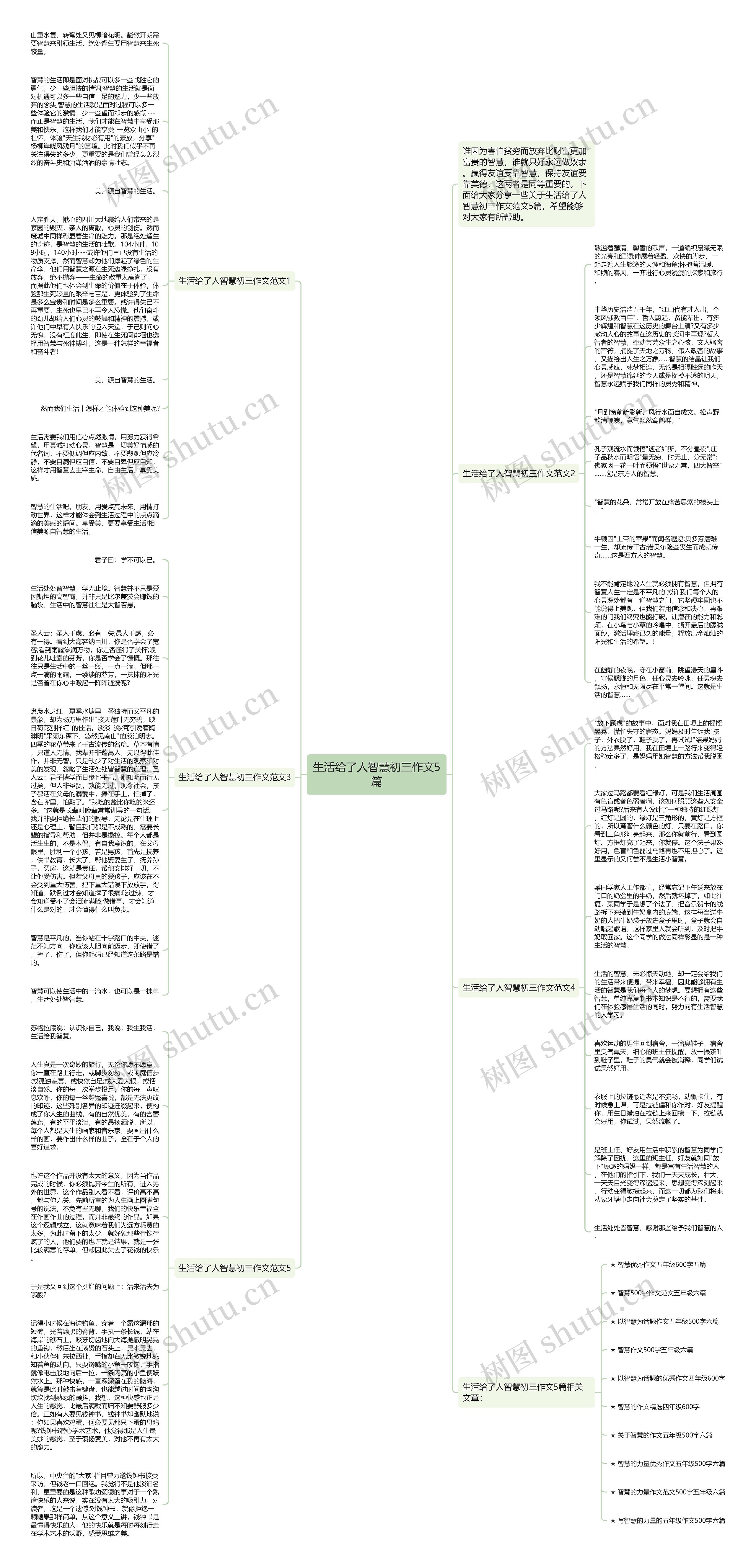 生活给了人智慧初三作文5篇思维导图