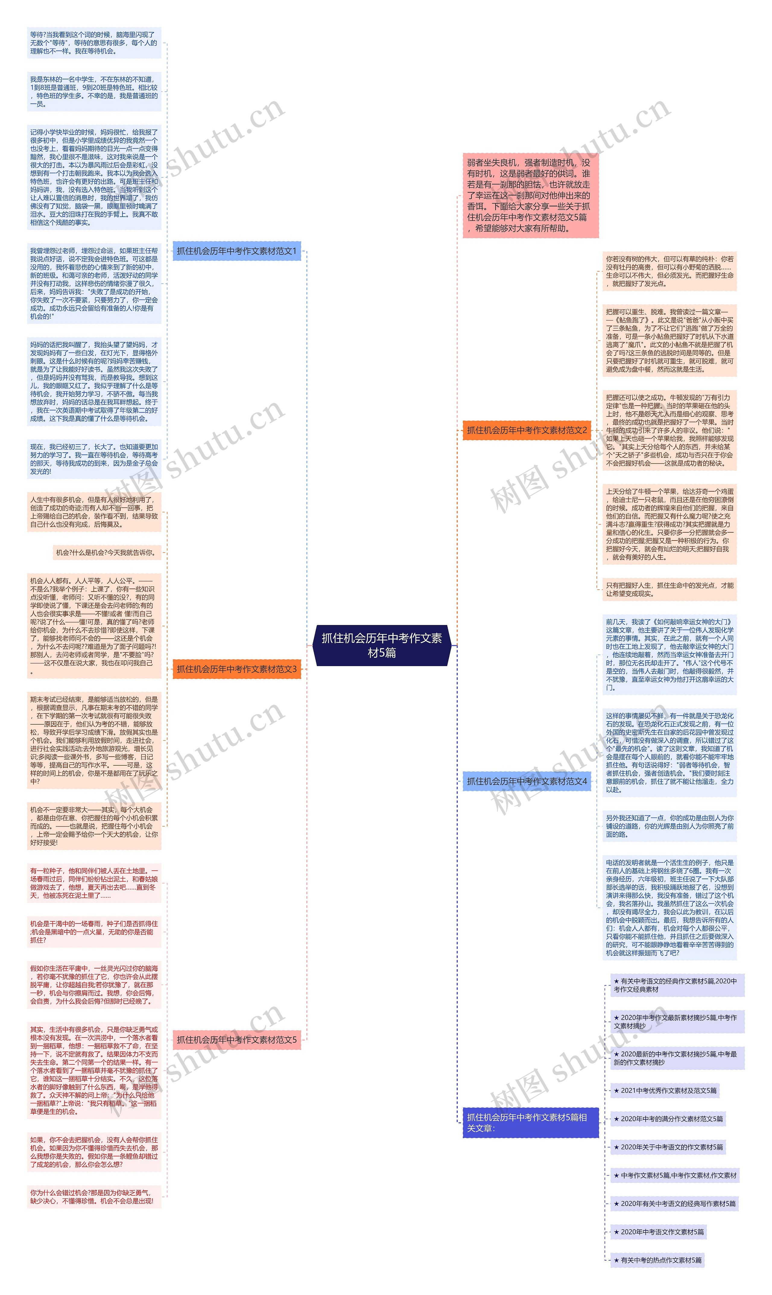 抓住机会历年中考作文素材5篇思维导图