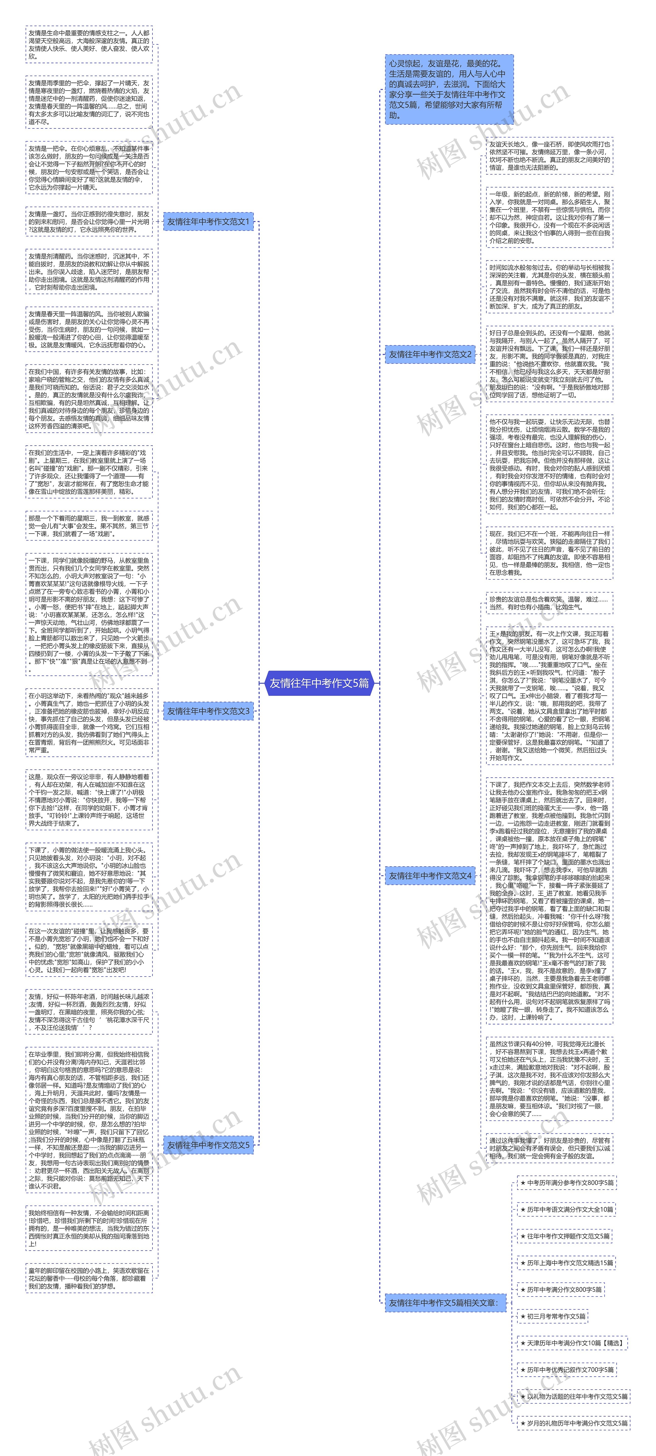 友情往年中考作文5篇思维导图