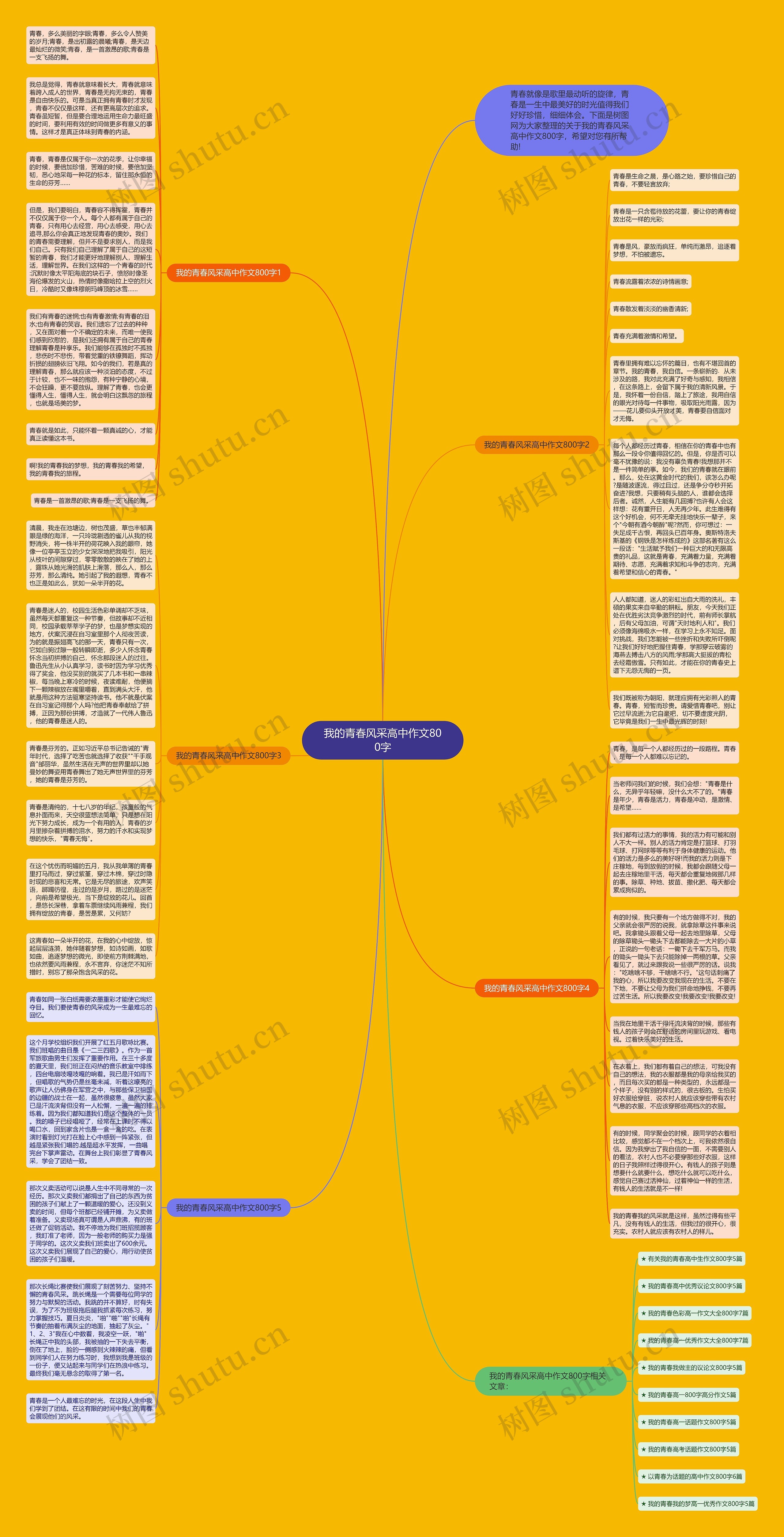 我的青春风采高中作文800字思维导图