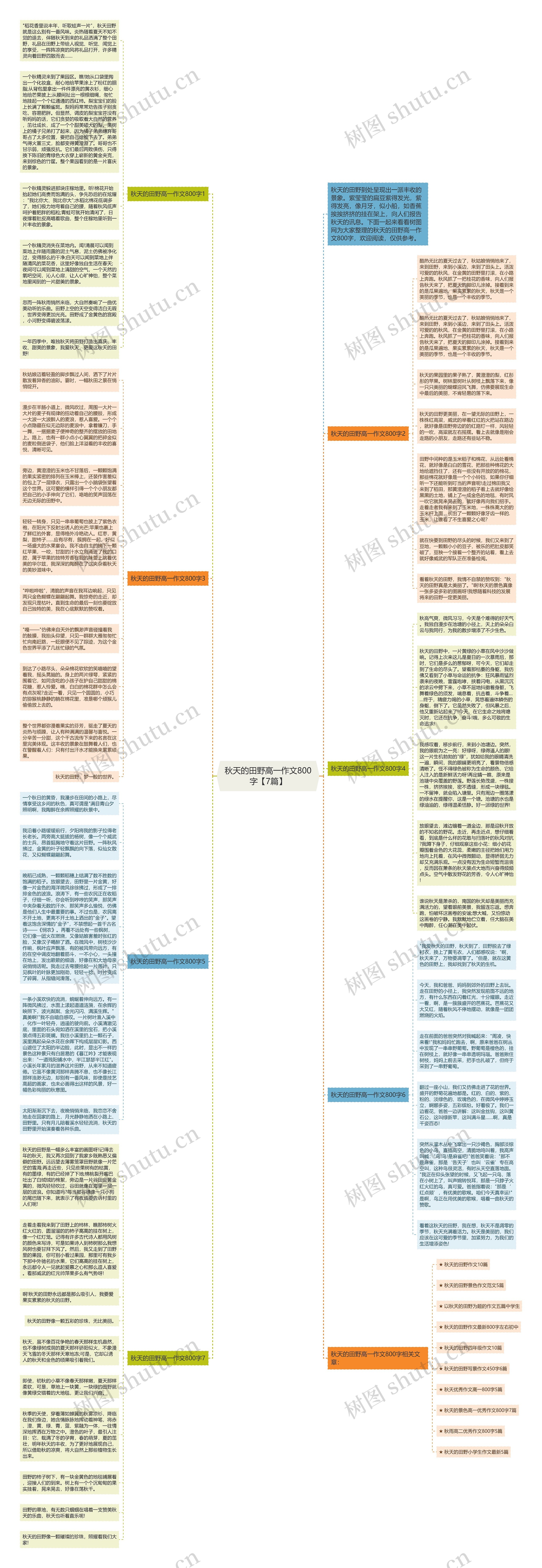 秋天的田野高一作文800字【7篇】思维导图