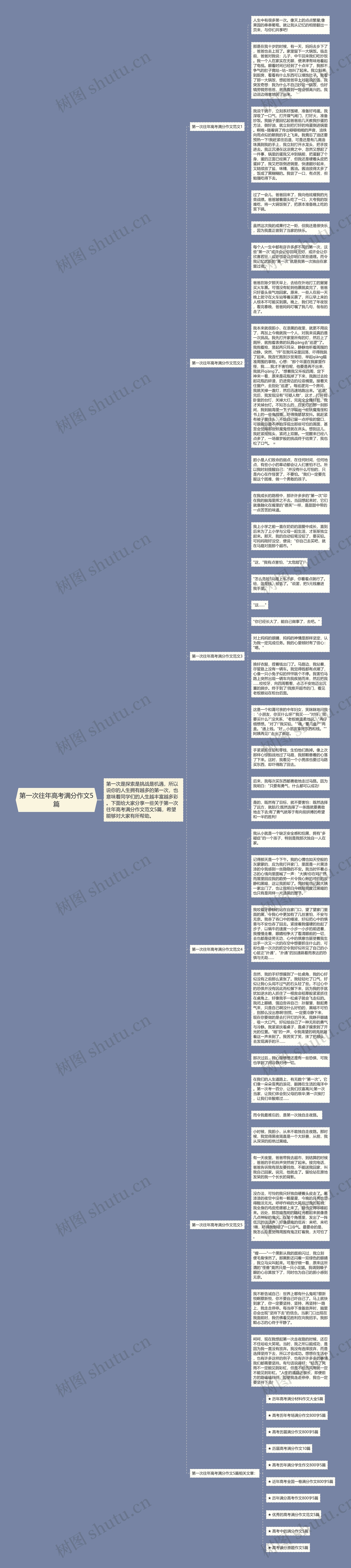 第一次往年高考满分作文5篇思维导图