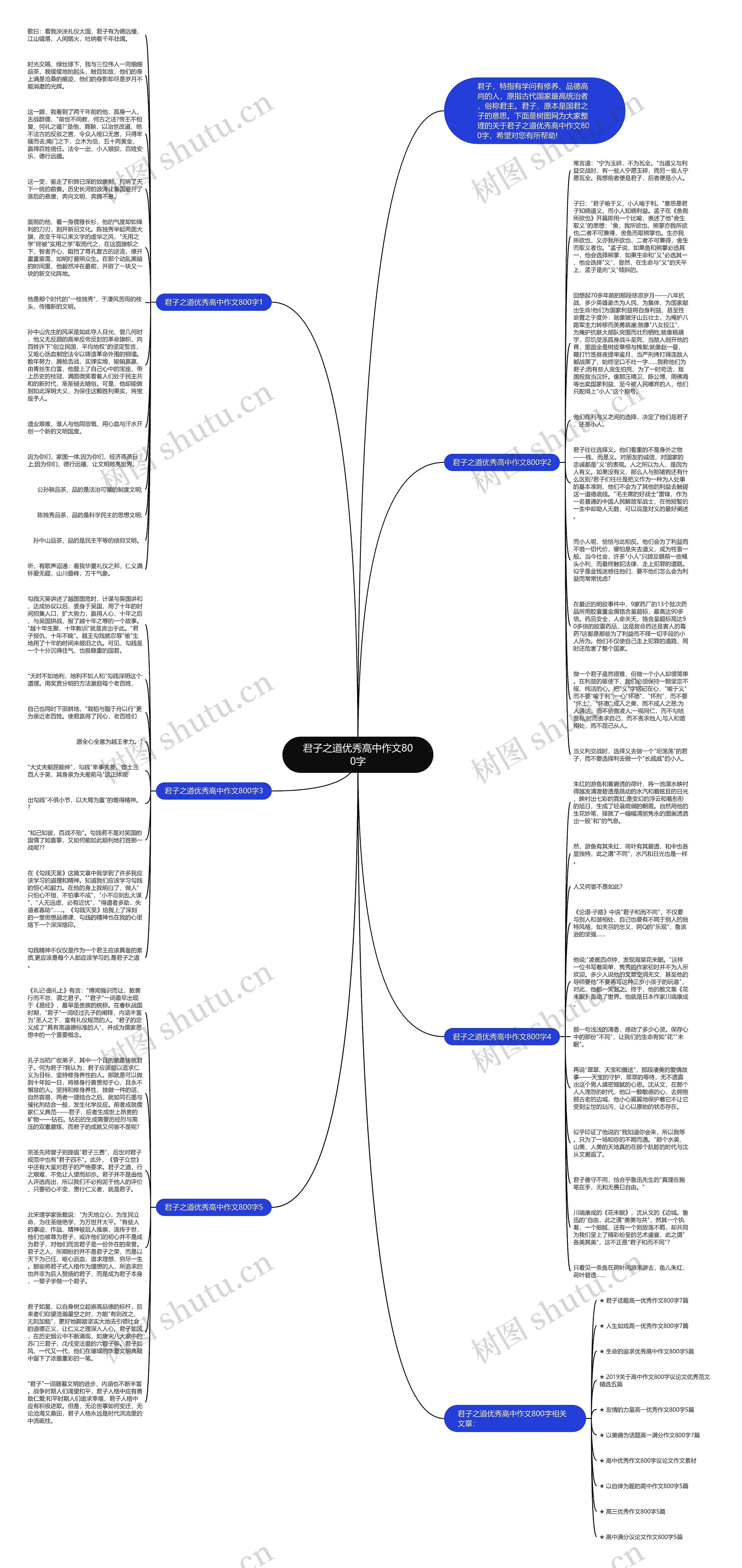 君子之道优秀高中作文800字思维导图