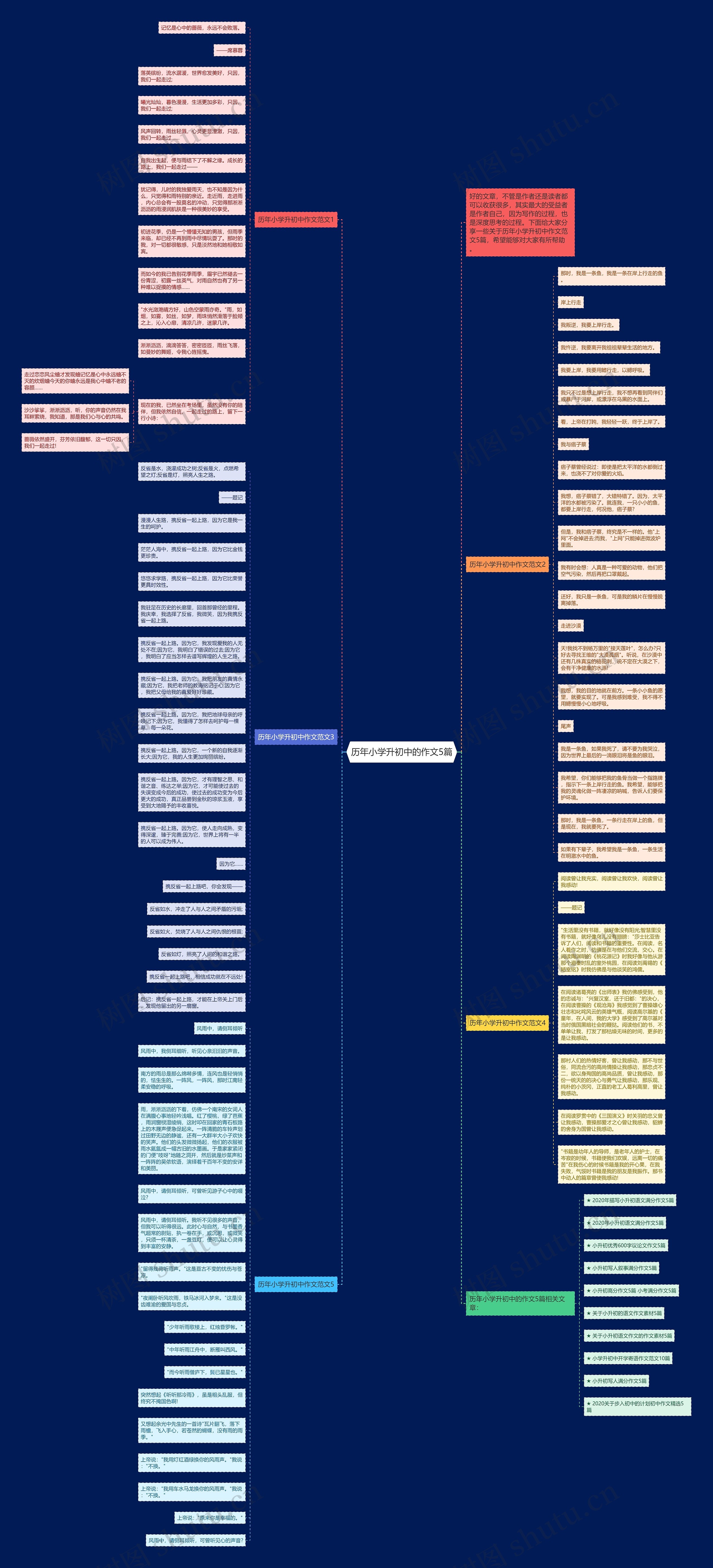 历年小学升初中的作文5篇思维导图