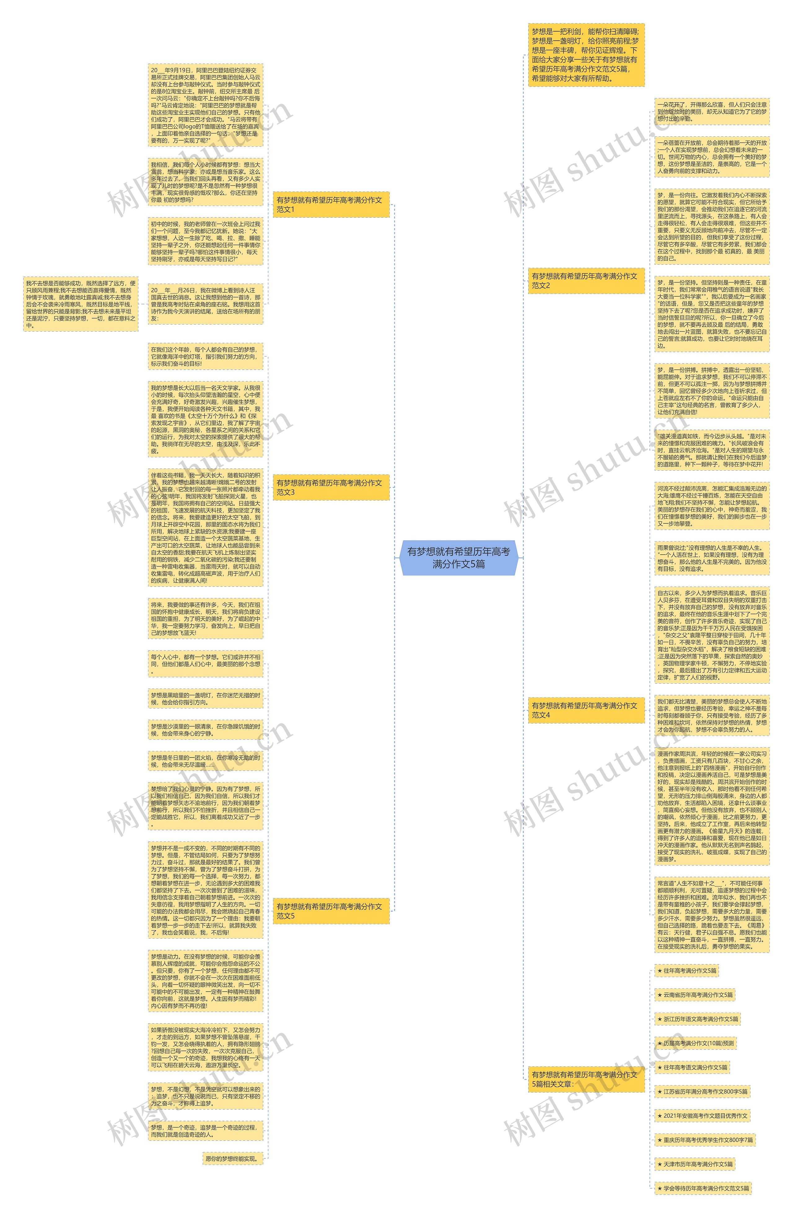 有梦想就有希望历年高考满分作文5篇思维导图