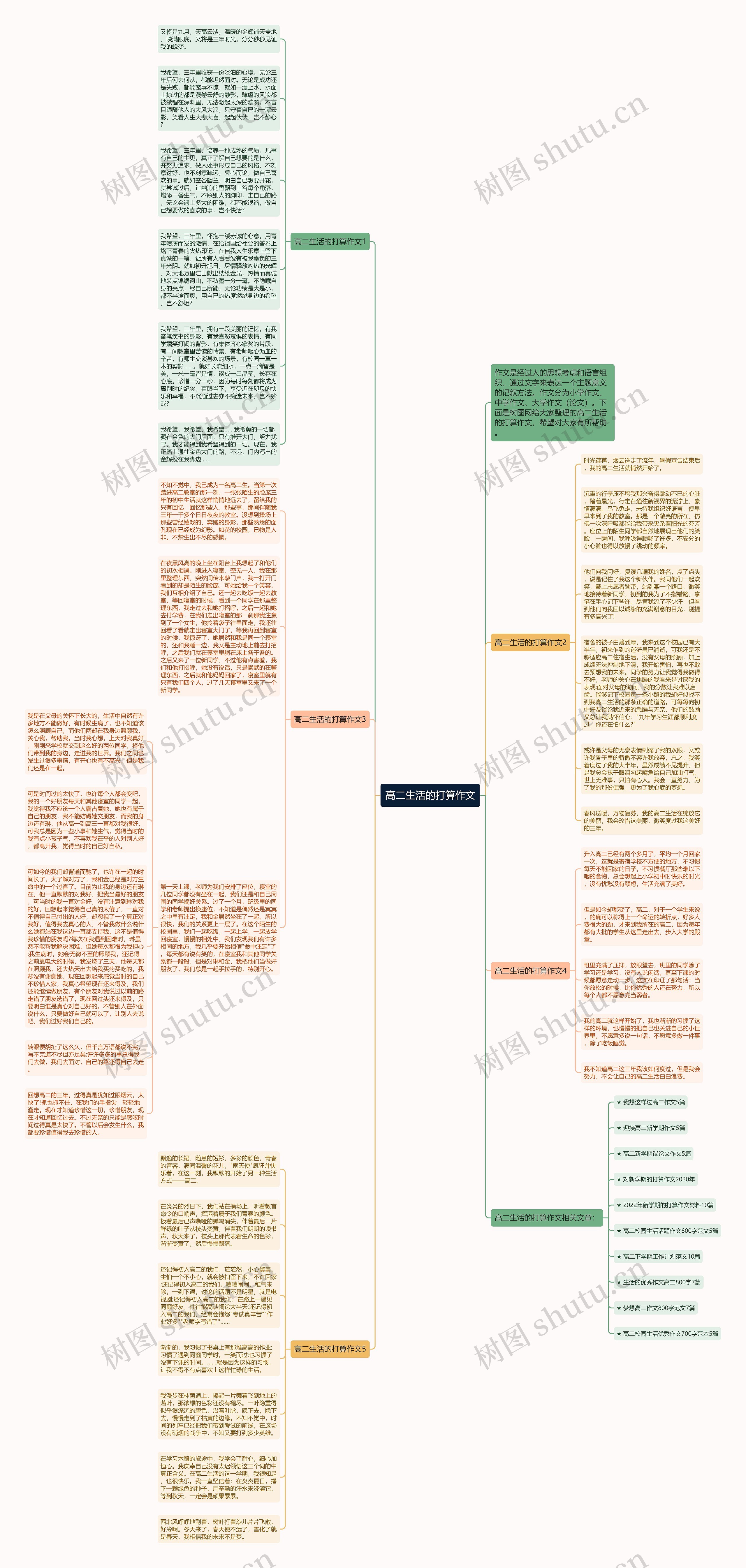 高二生活的打算作文思维导图