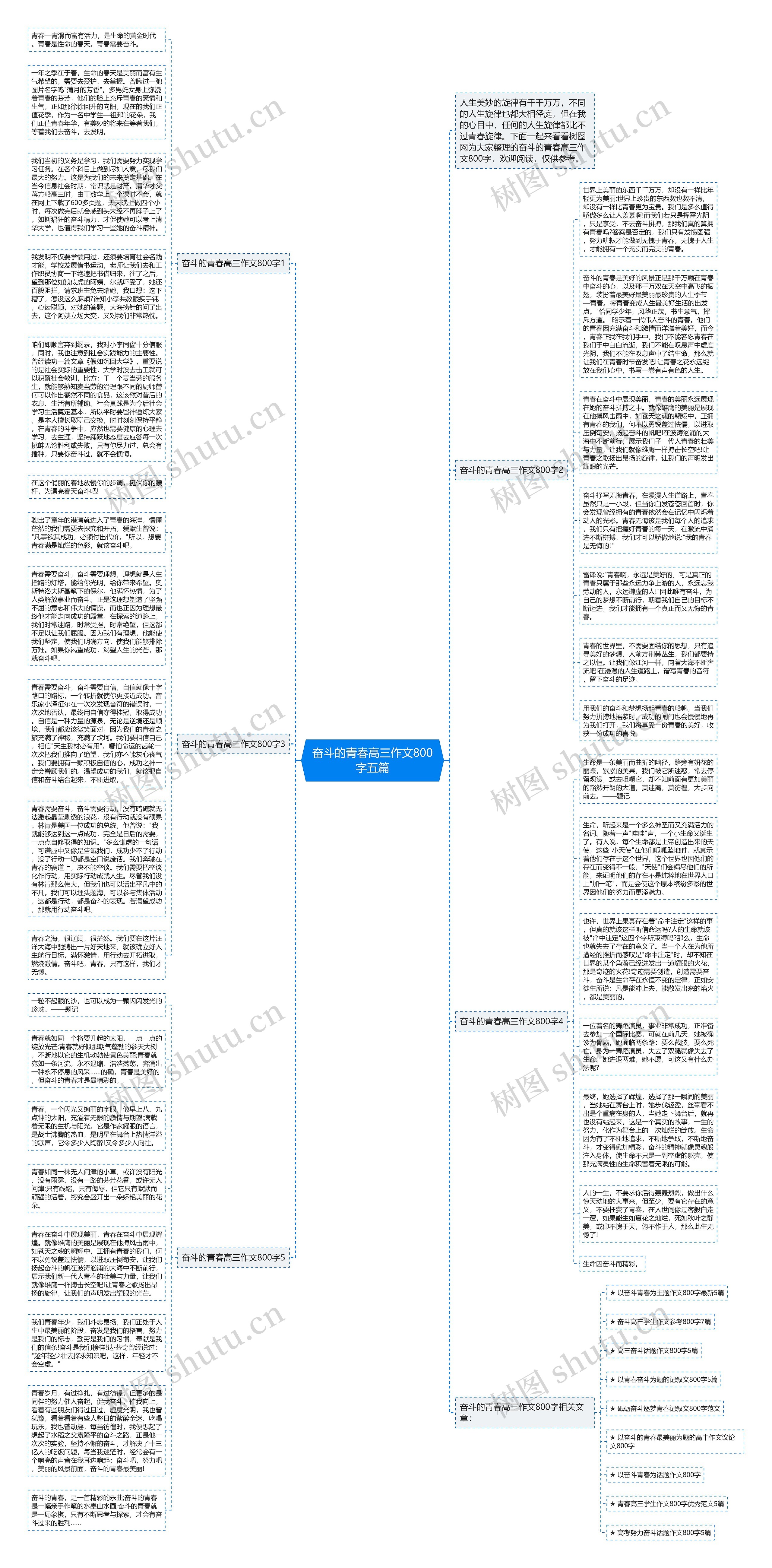 奋斗的青春高三作文800字五篇思维导图