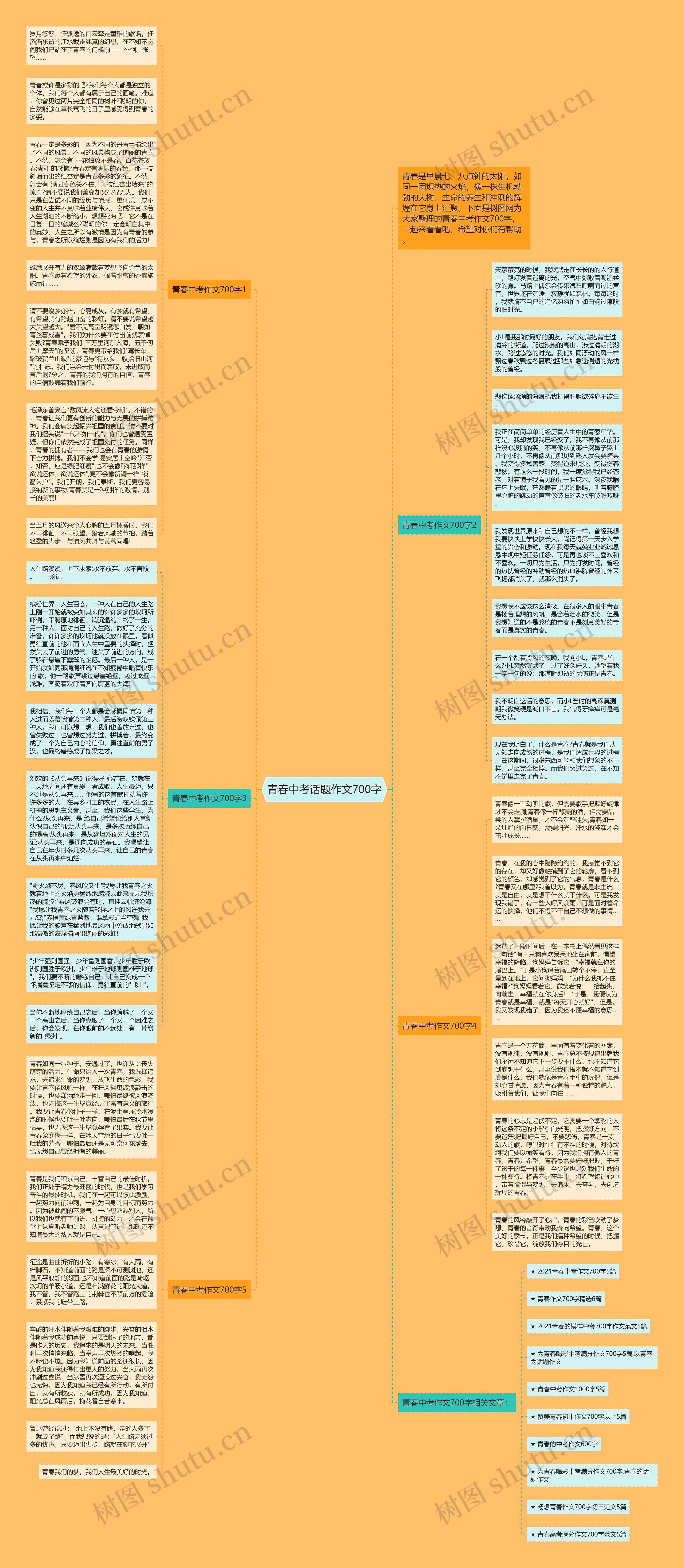 青春中考话题作文700字思维导图