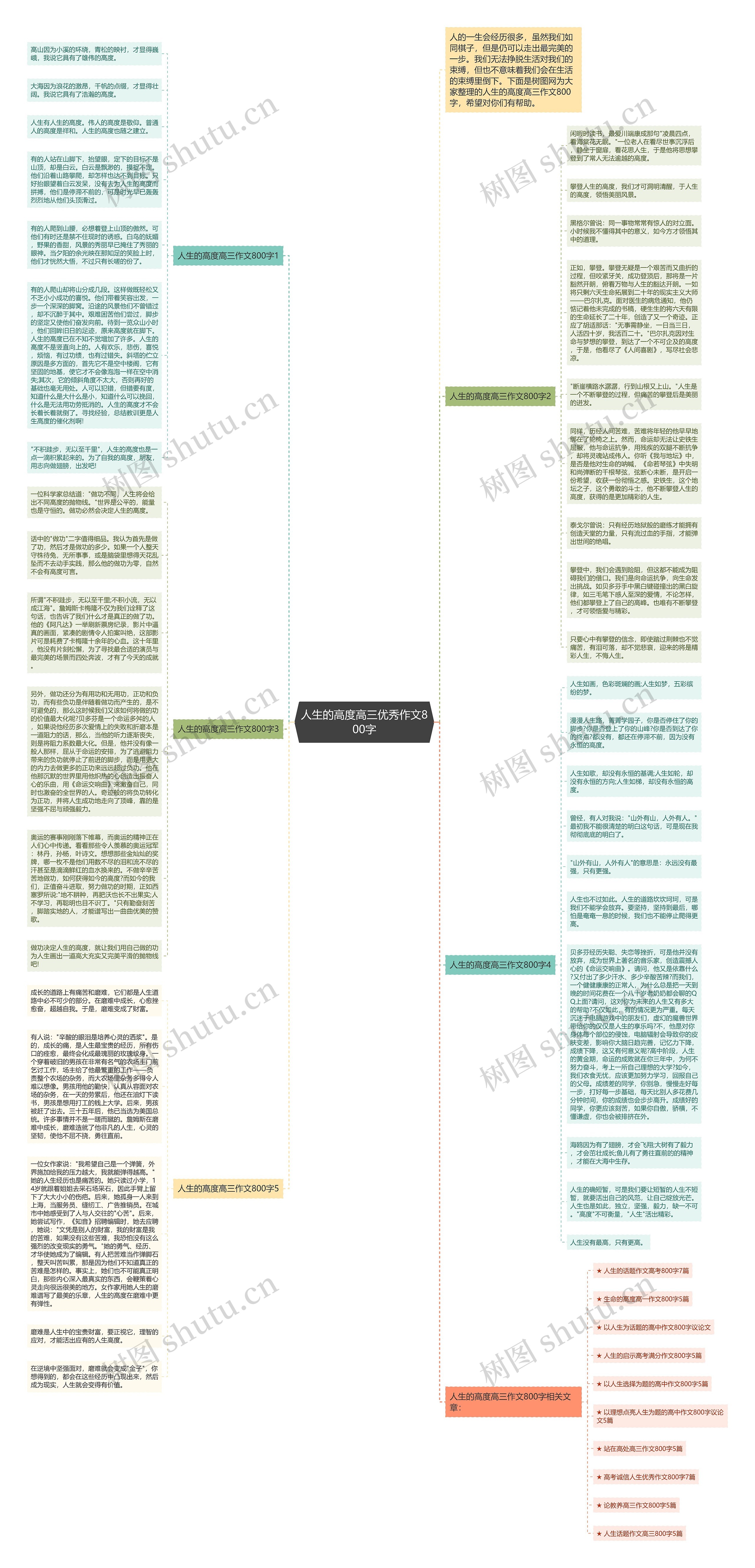 人生的高度高三优秀作文800字思维导图