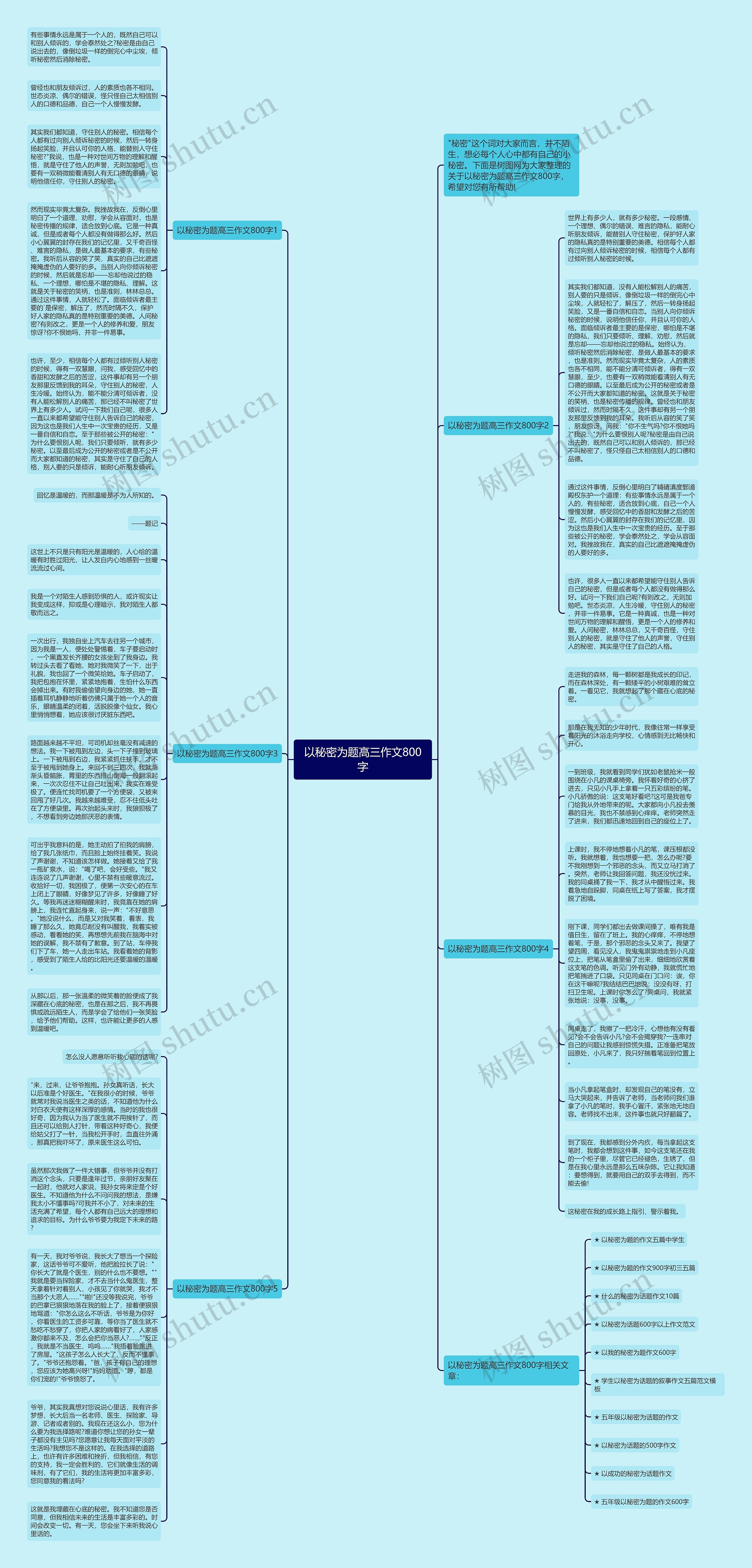 以秘密为题高三作文800字思维导图
