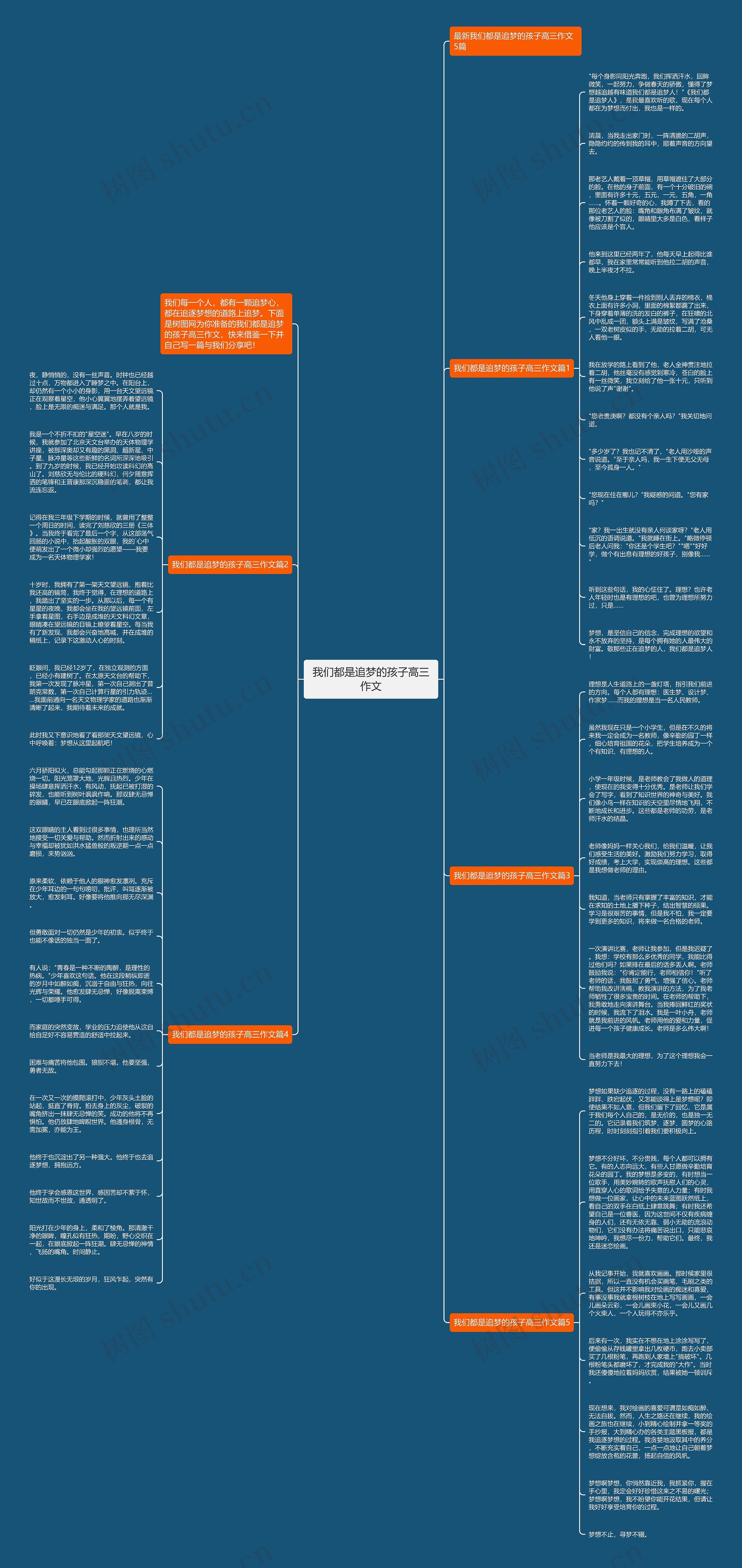 我们都是追梦的孩子高三作文思维导图