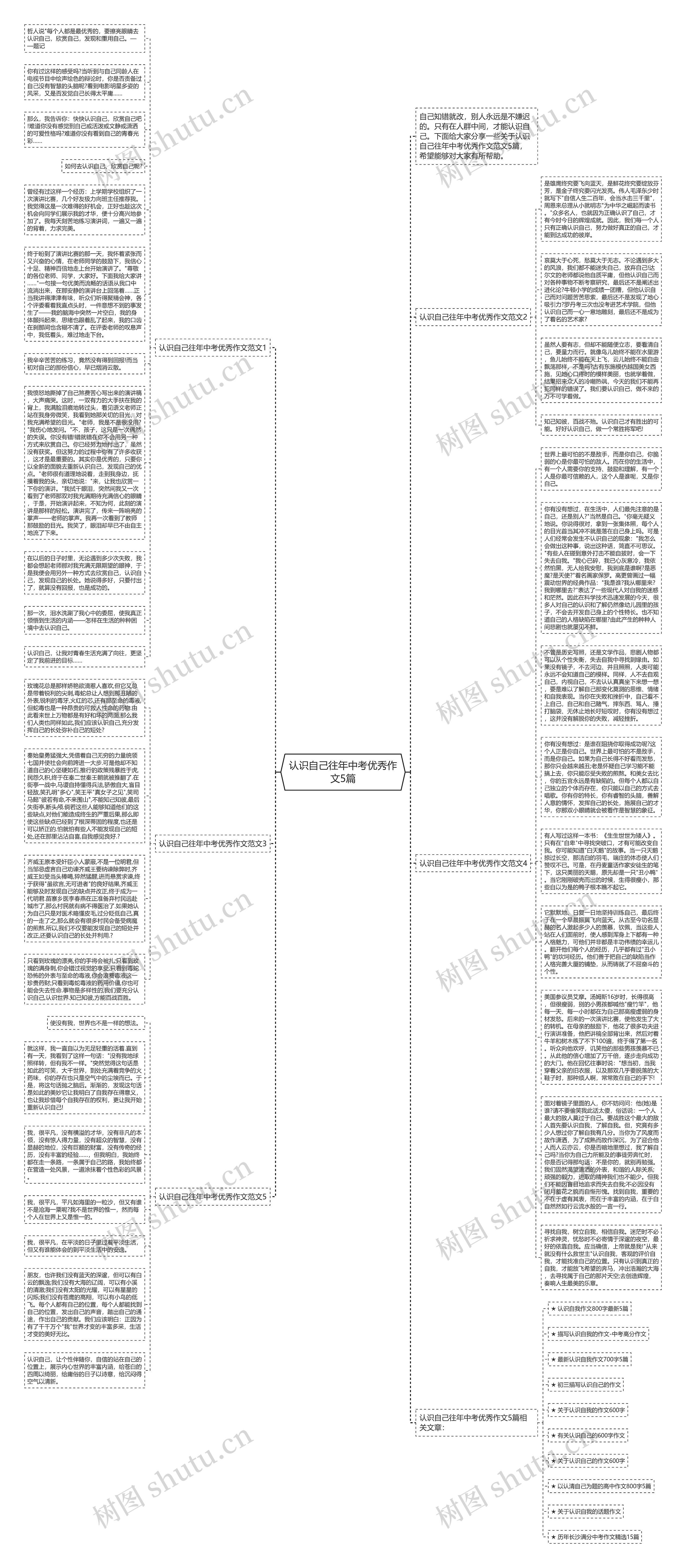 认识自己往年中考优秀作文5篇思维导图