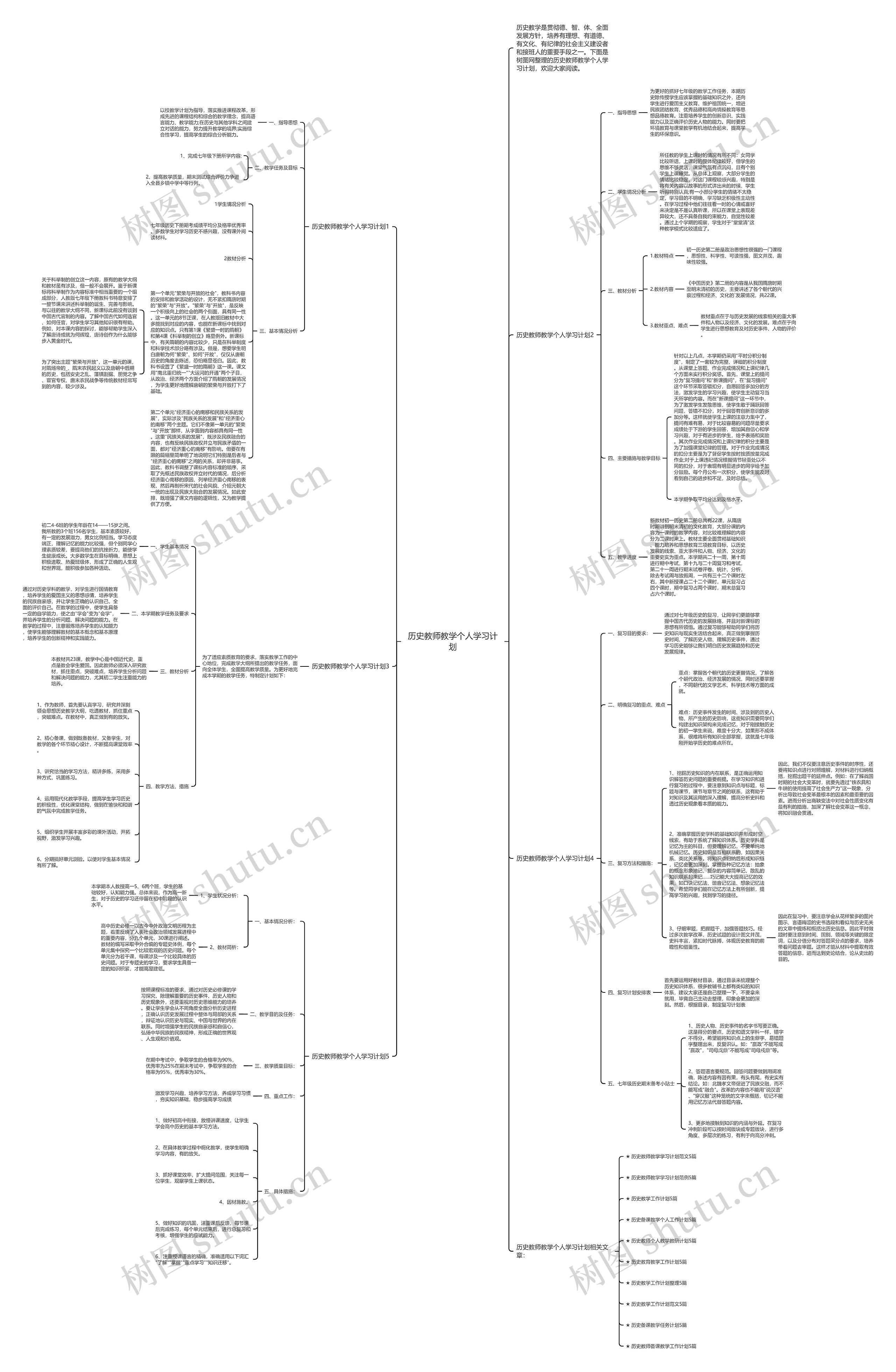 历史教师教学个人学习计划思维导图