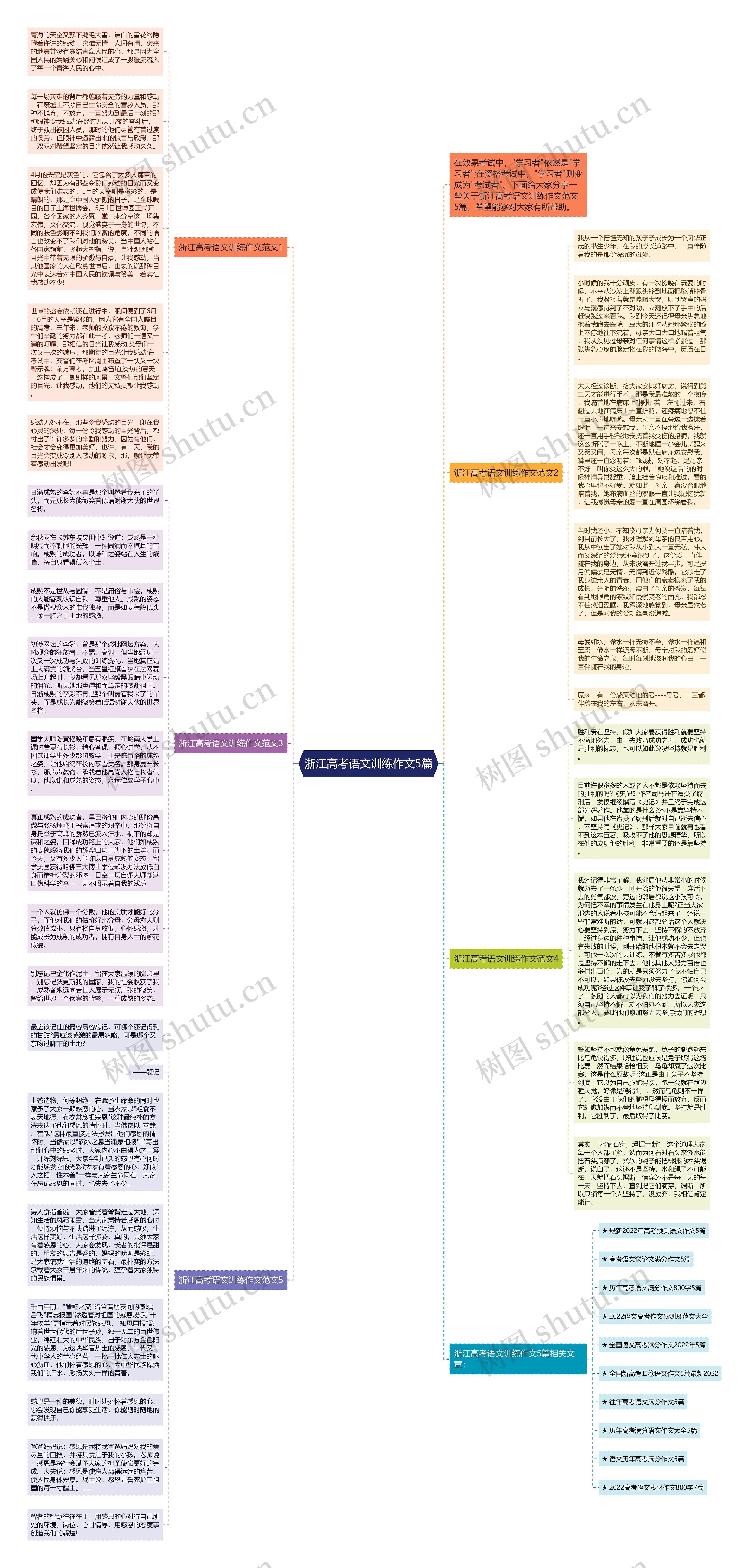 浙江高考语文训练作文5篇思维导图