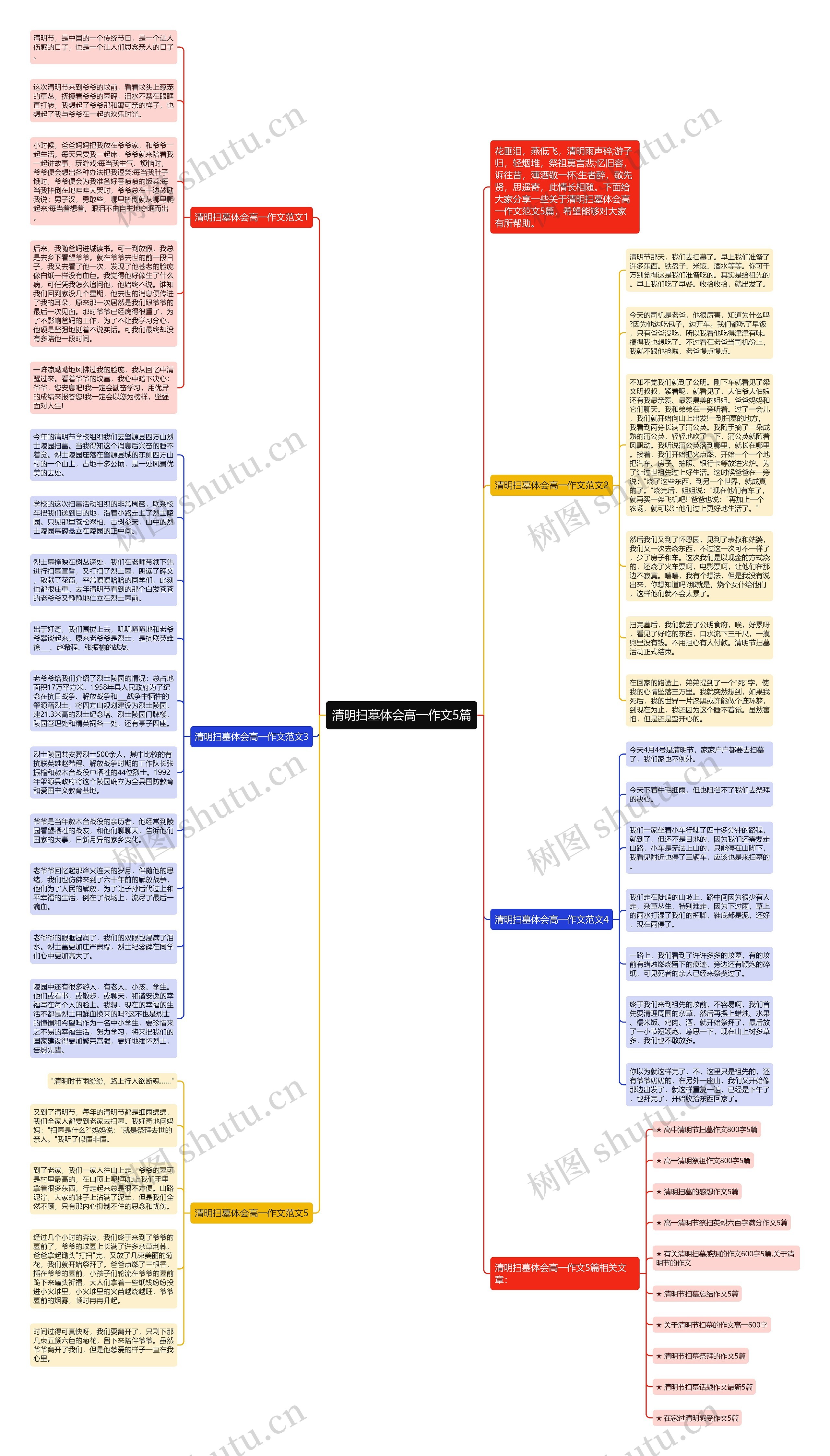 清明扫墓体会高一作文5篇思维导图