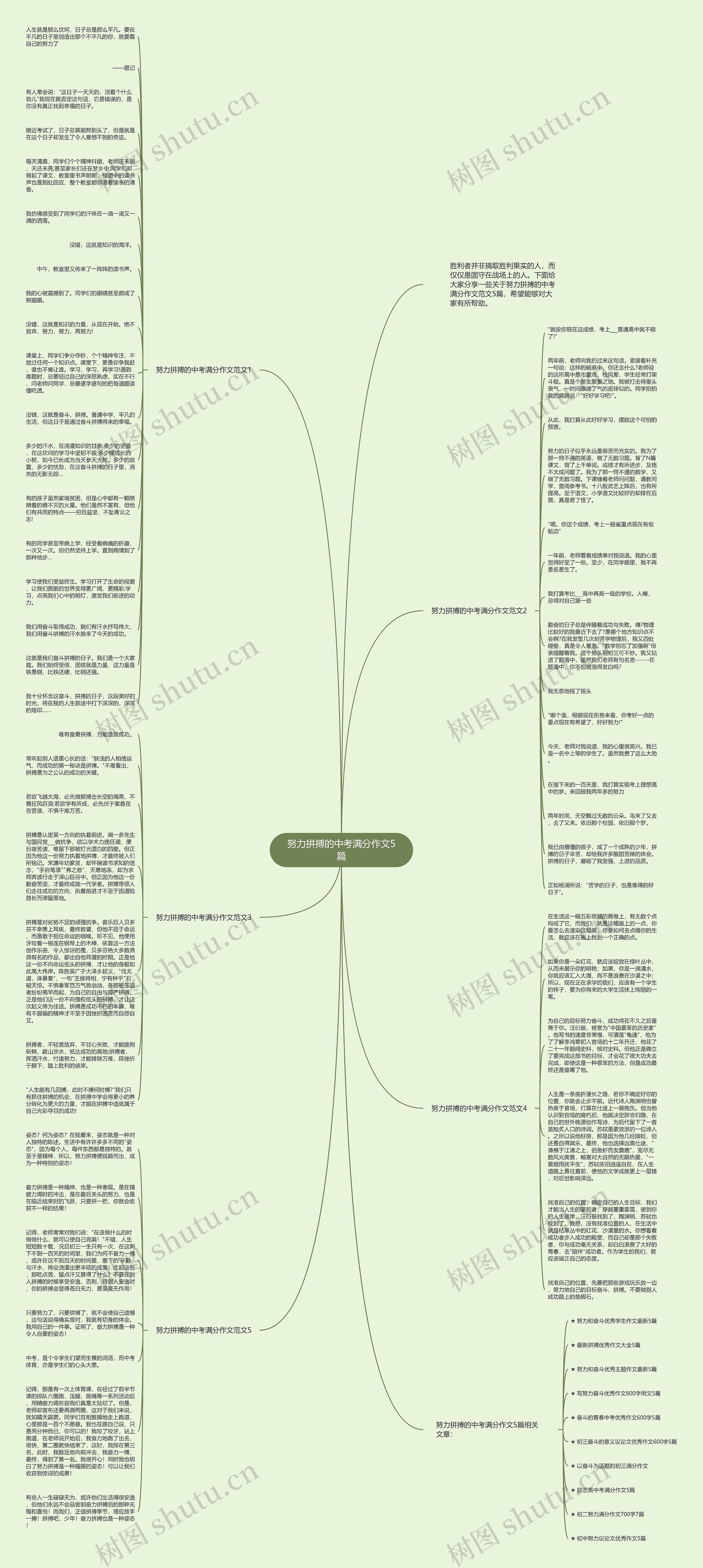 努力拼搏的中考满分作文5篇思维导图