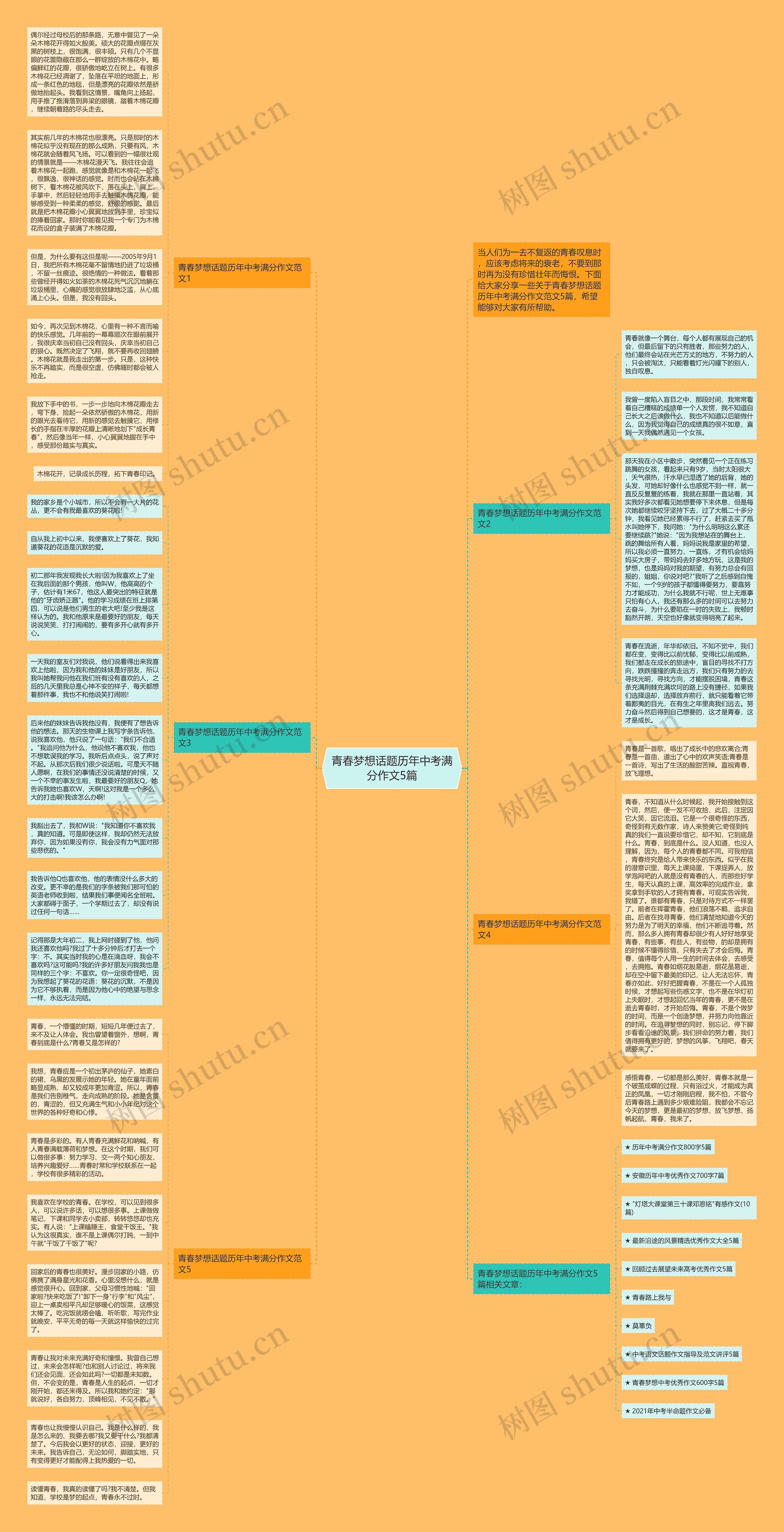 青春梦想话题历年中考满分作文5篇思维导图