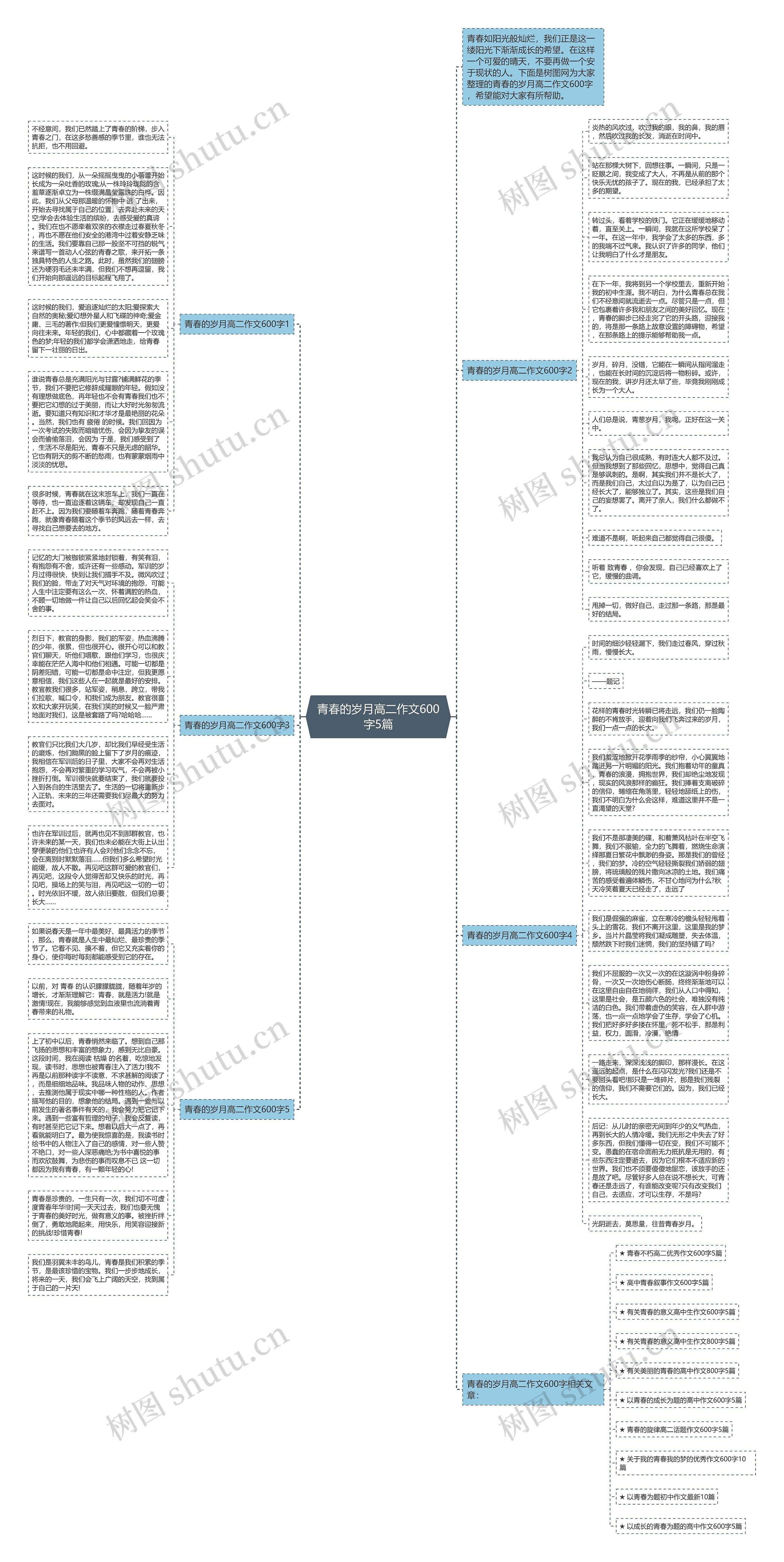 青春的岁月高二作文600字5篇思维导图高清图 青春的岁月高二作文600字5篇思维导图
