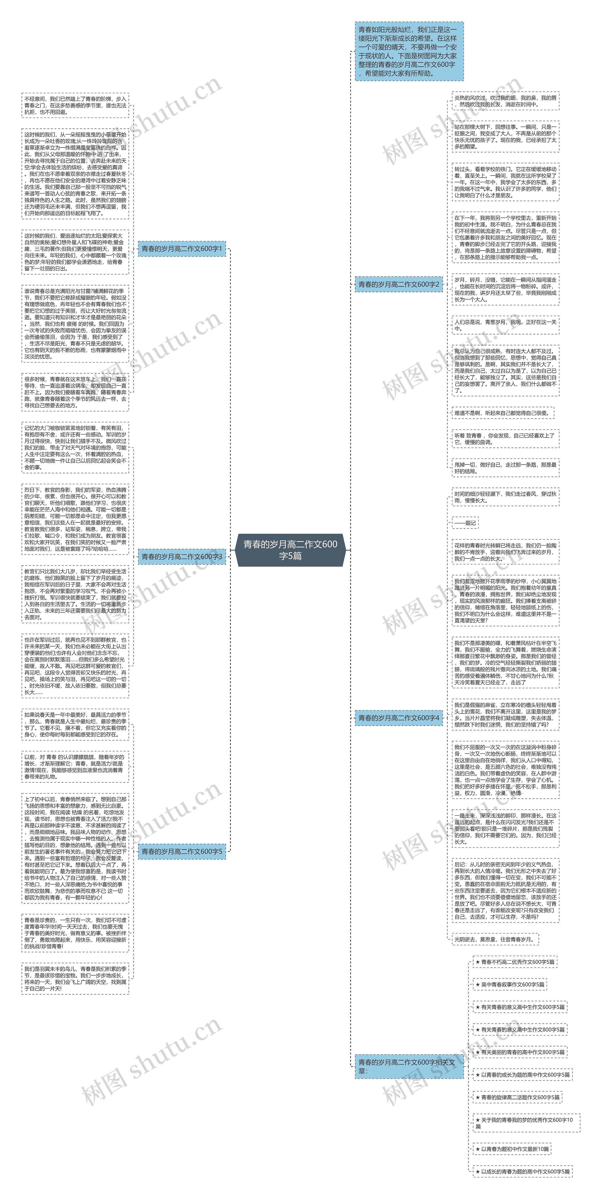 青春的岁月高二作文600字5篇思维导图