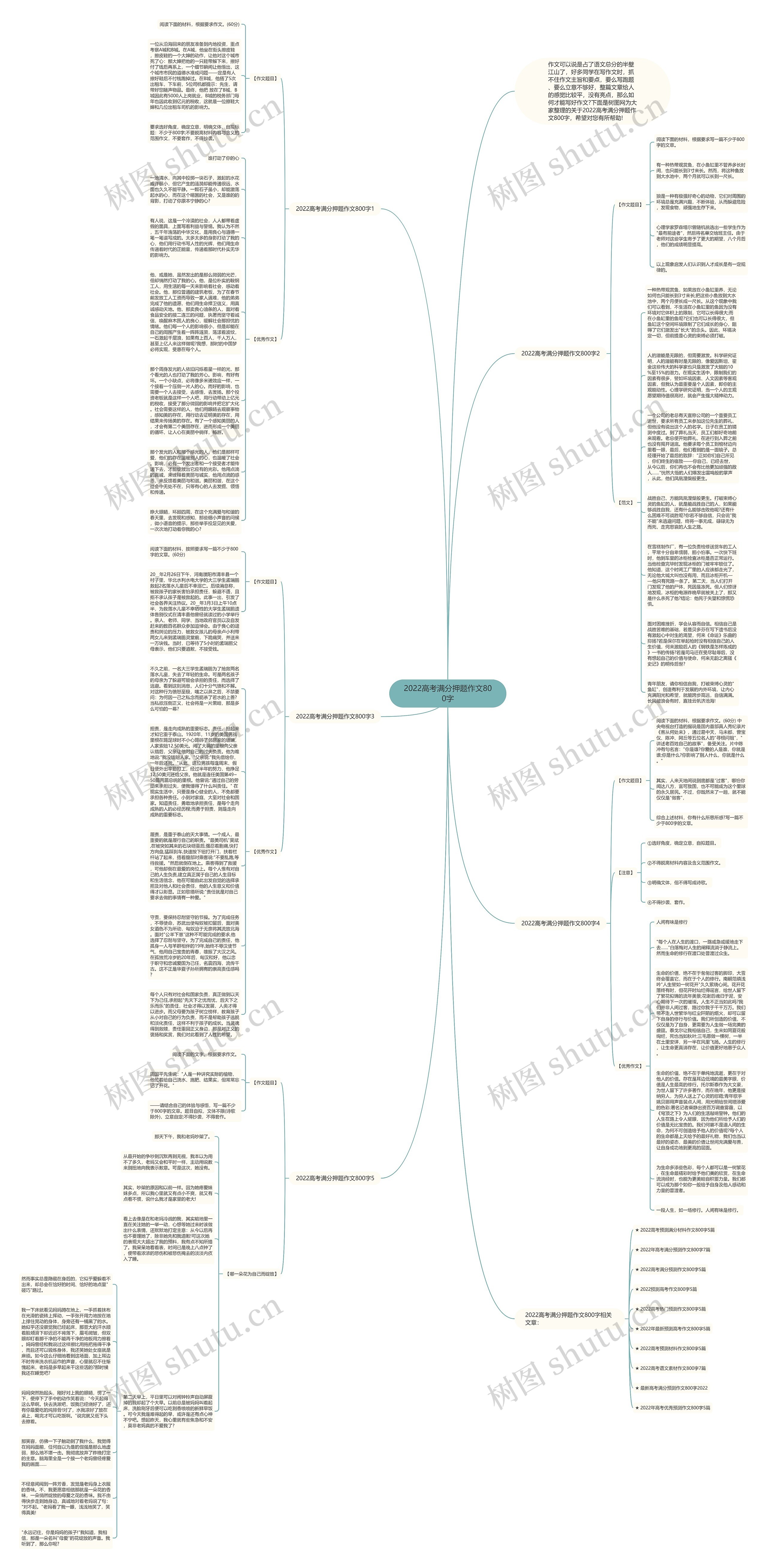 2022高考满分押题作文800字思维导图