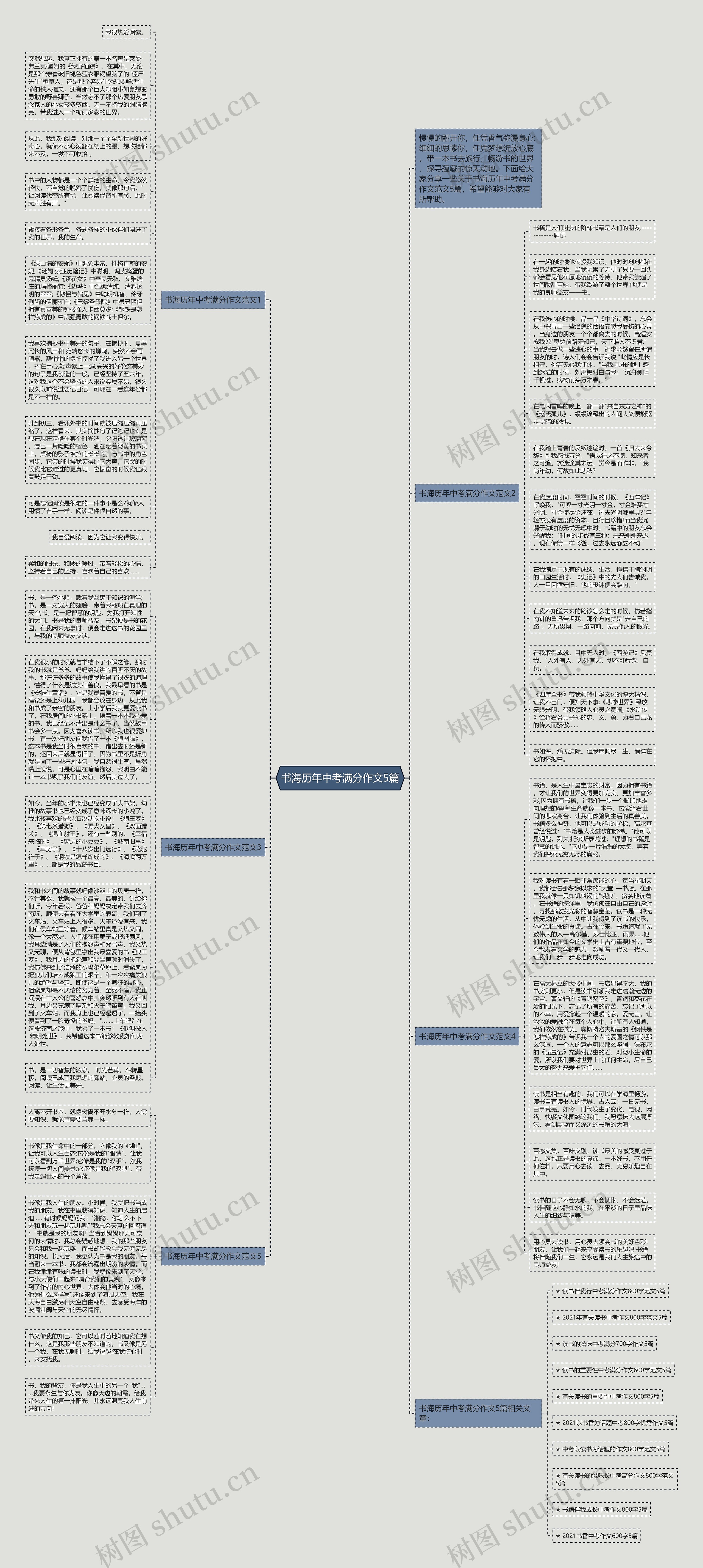 书海历年中考满分作文5篇思维导图
