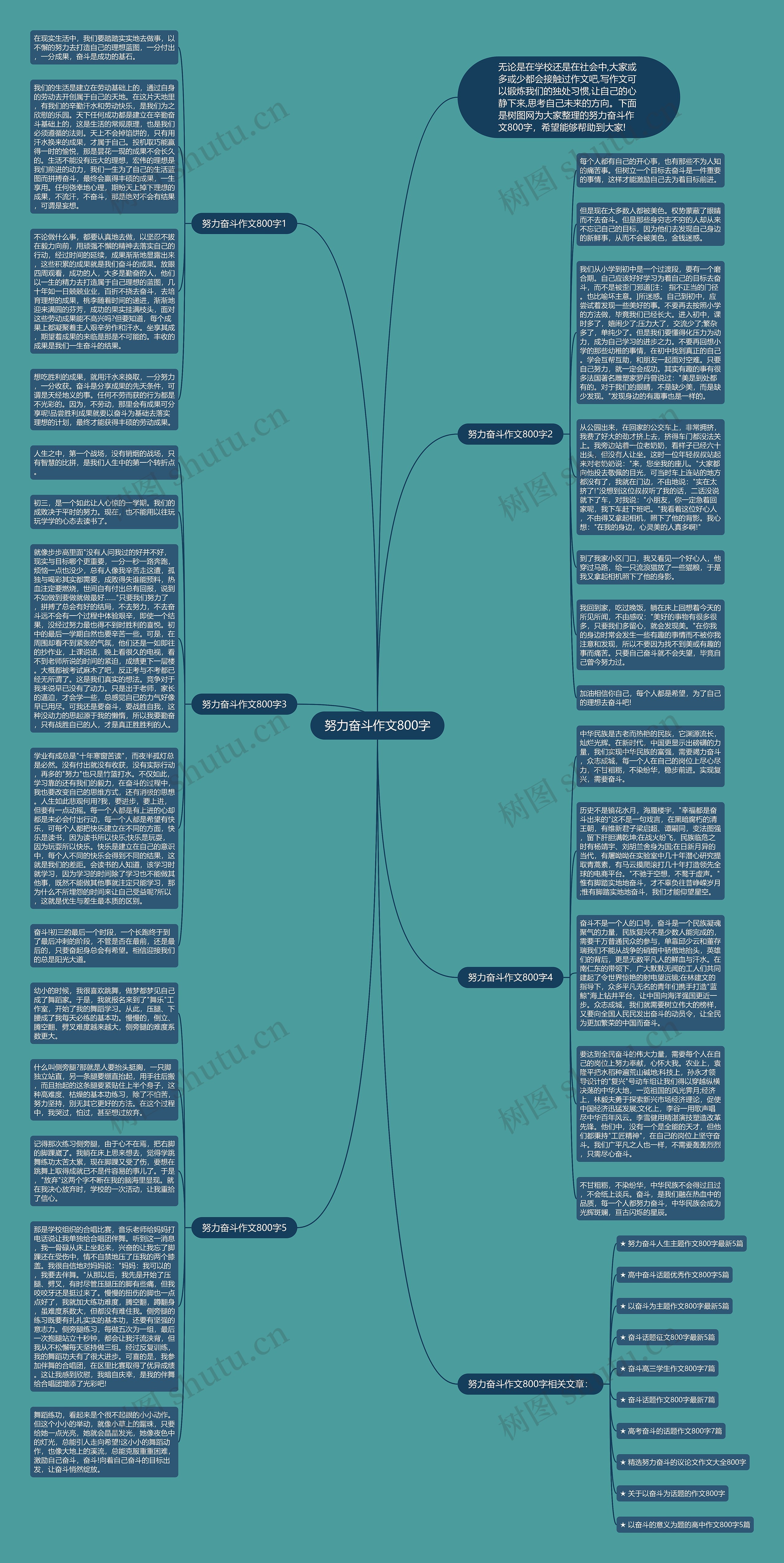 努力奋斗作文800字思维导图