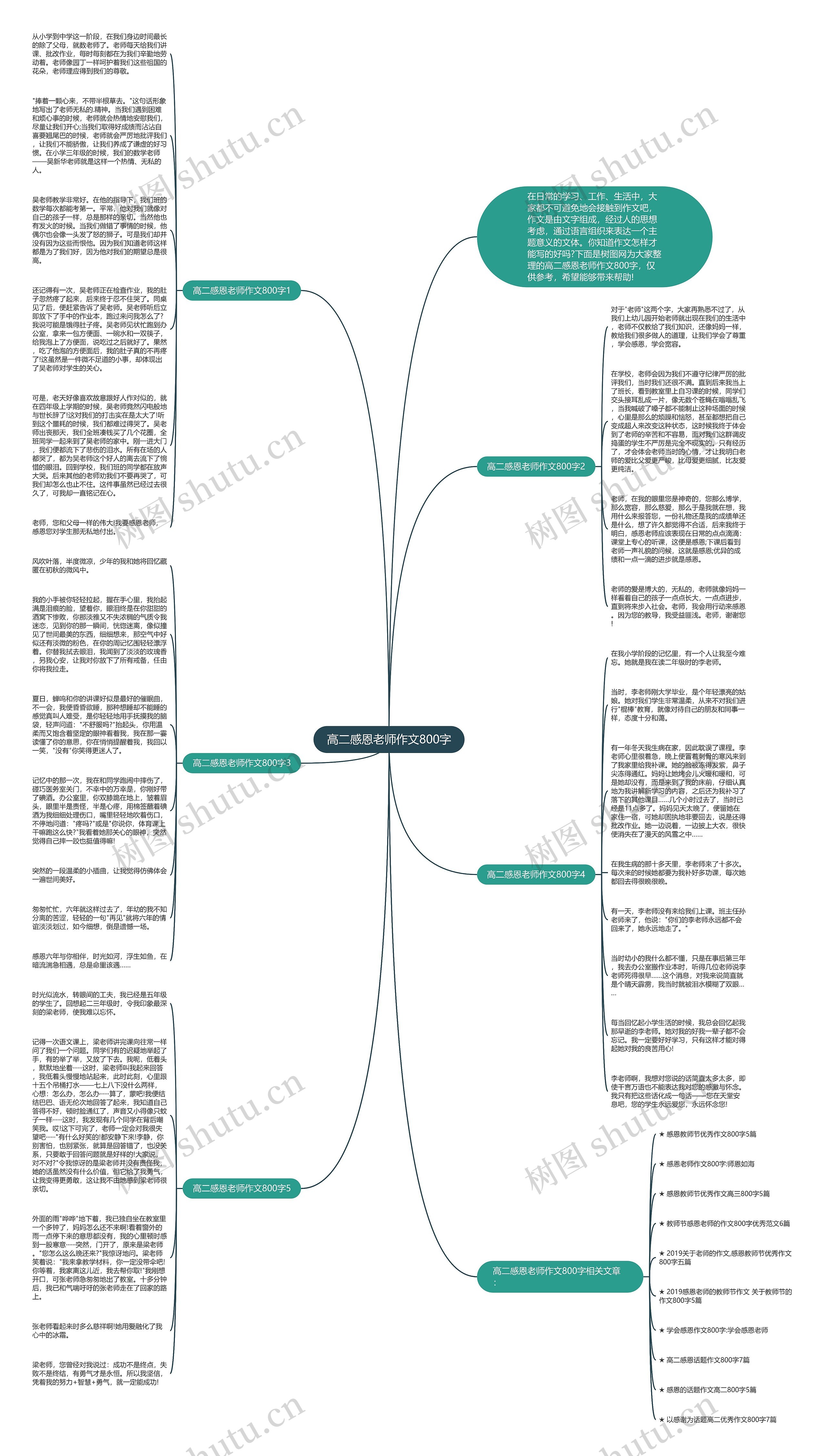 高二感恩老师作文800字思维导图