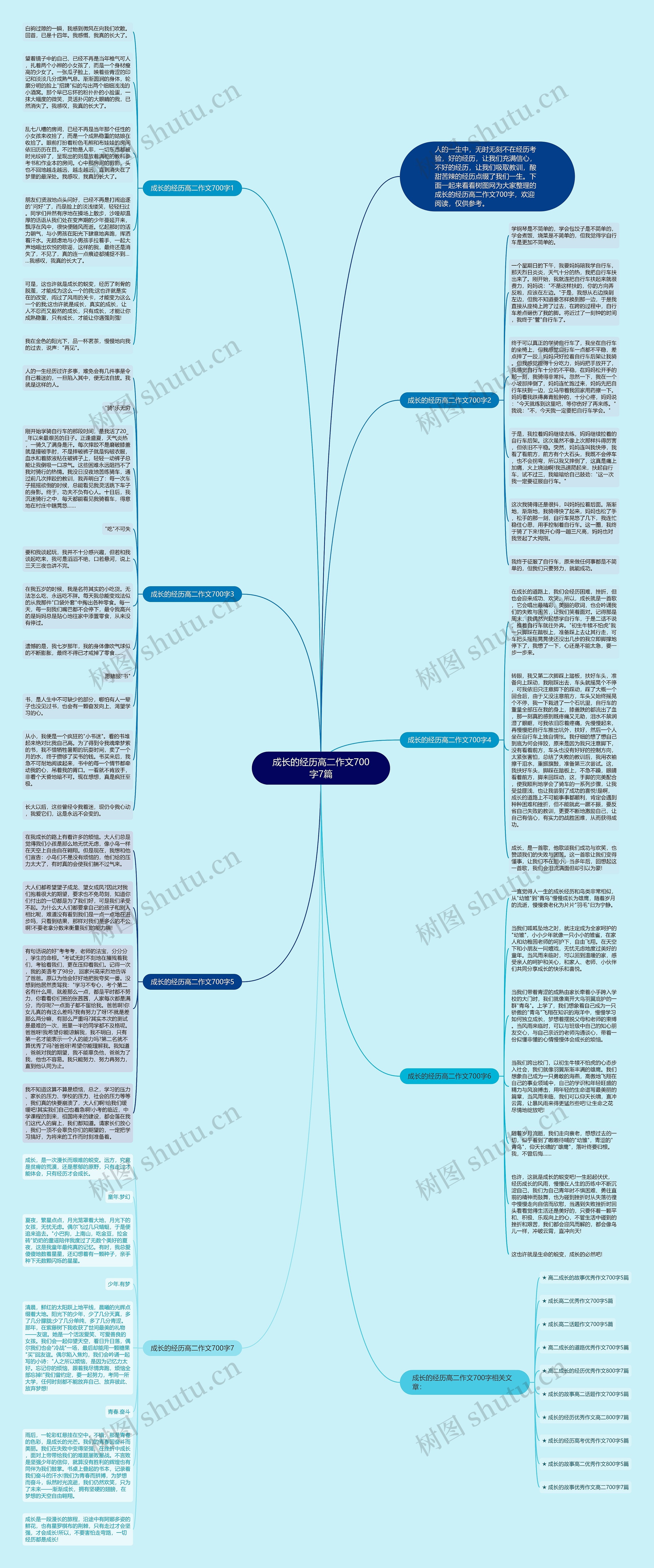 成长的经历高二作文700字7篇思维导图
