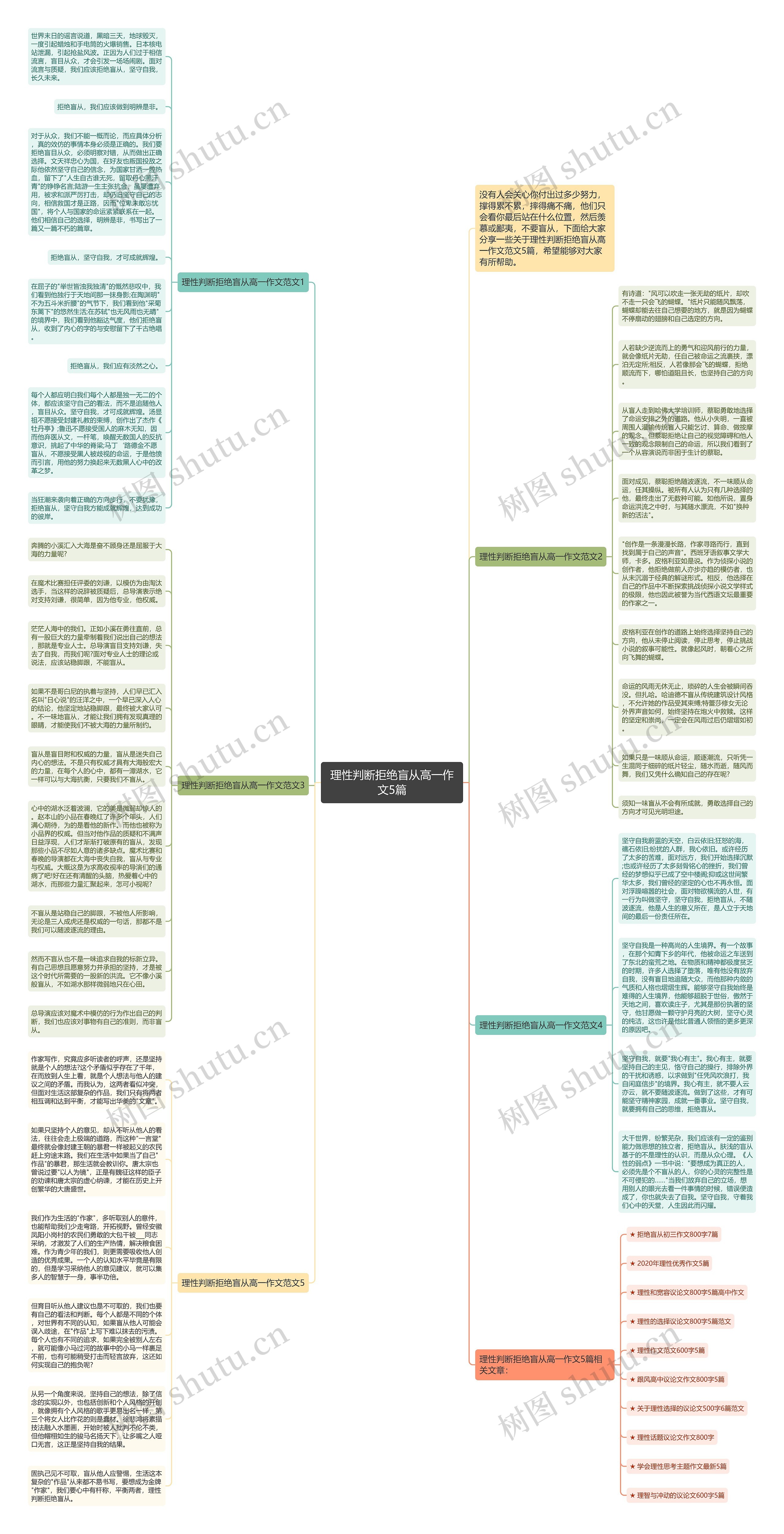 理性判断拒绝盲从高一作文5篇思维导图