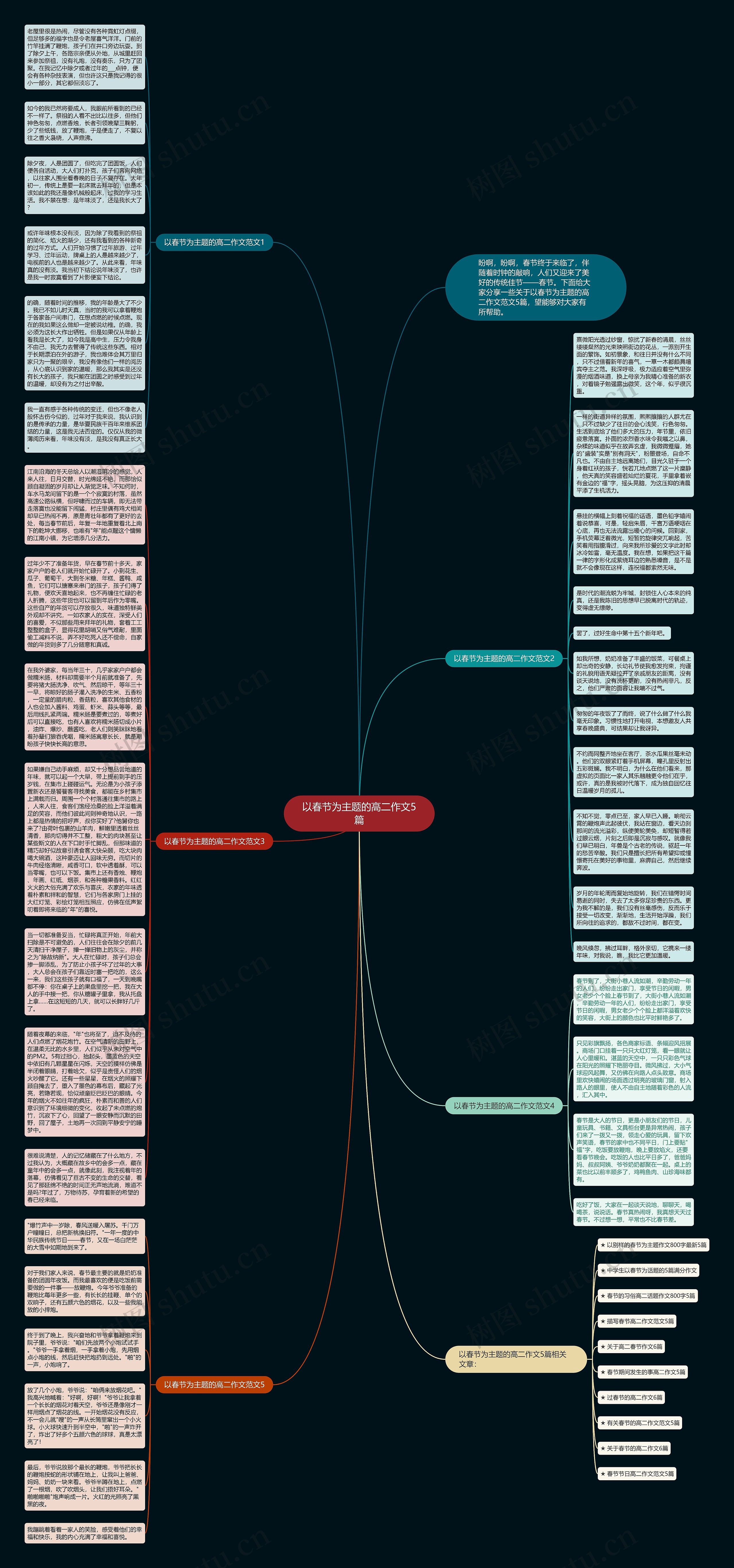 以春节为主题的高二作文5篇思维导图