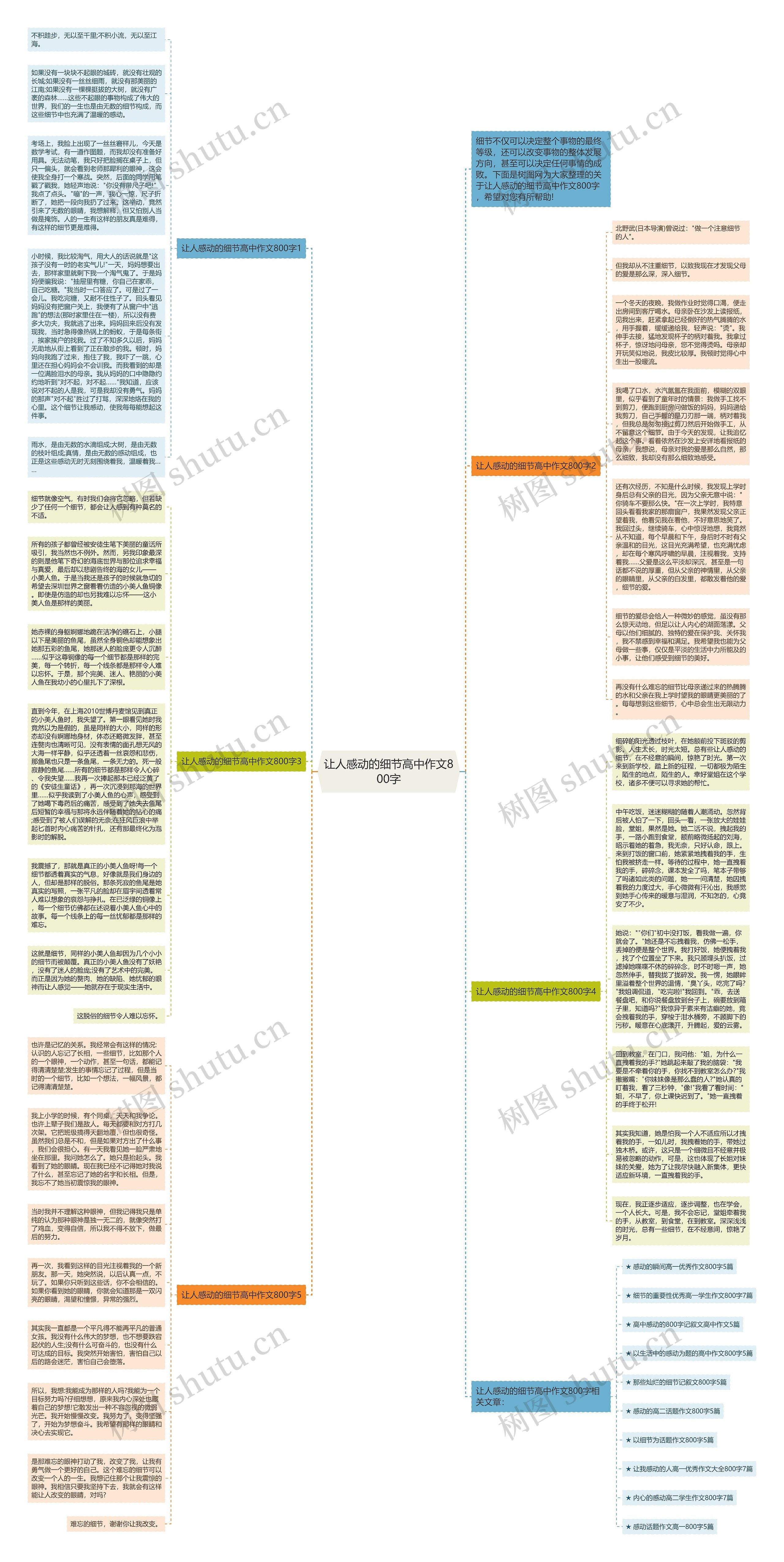 让人感动的细节高中作文800字思维导图
