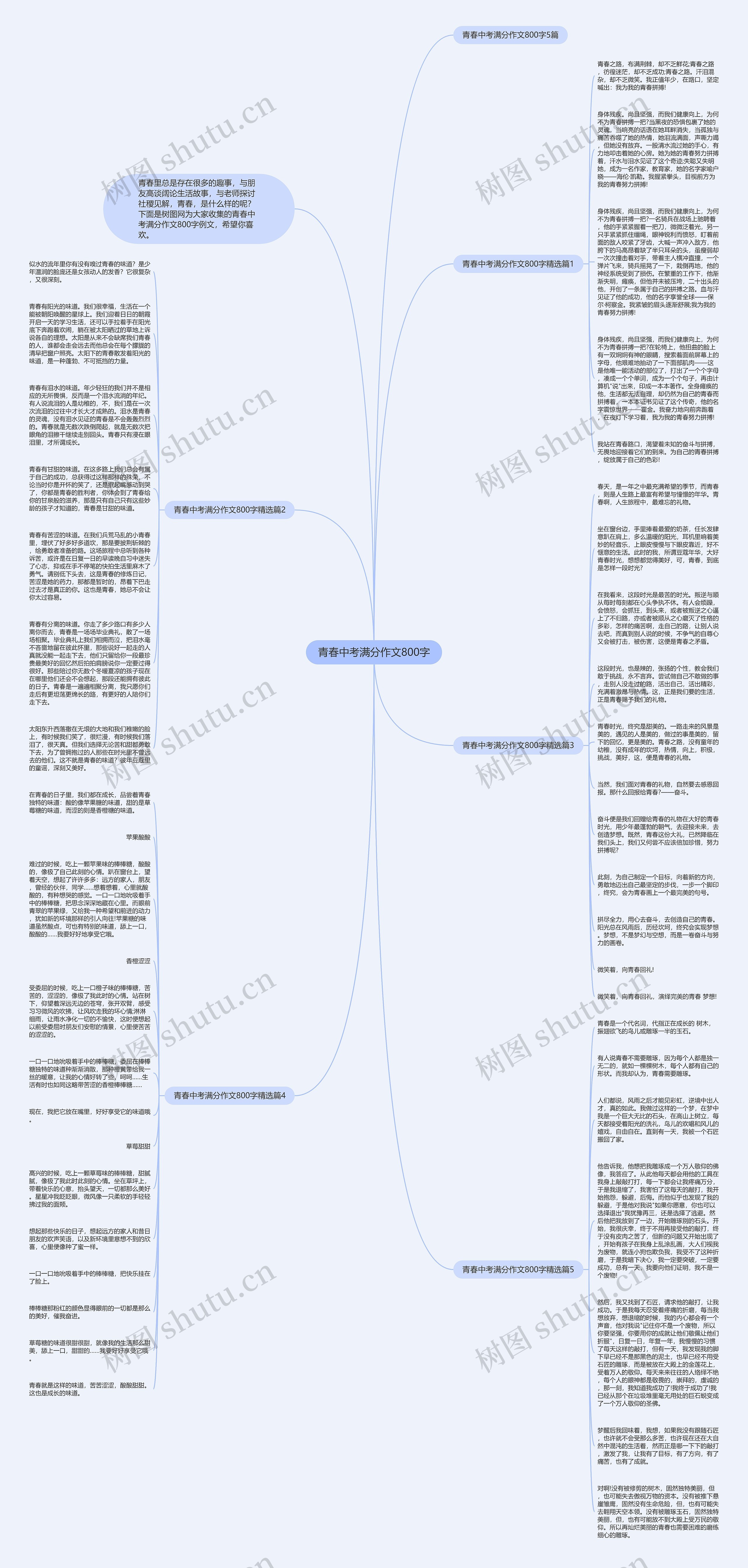 青春中考满分作文800字思维导图
