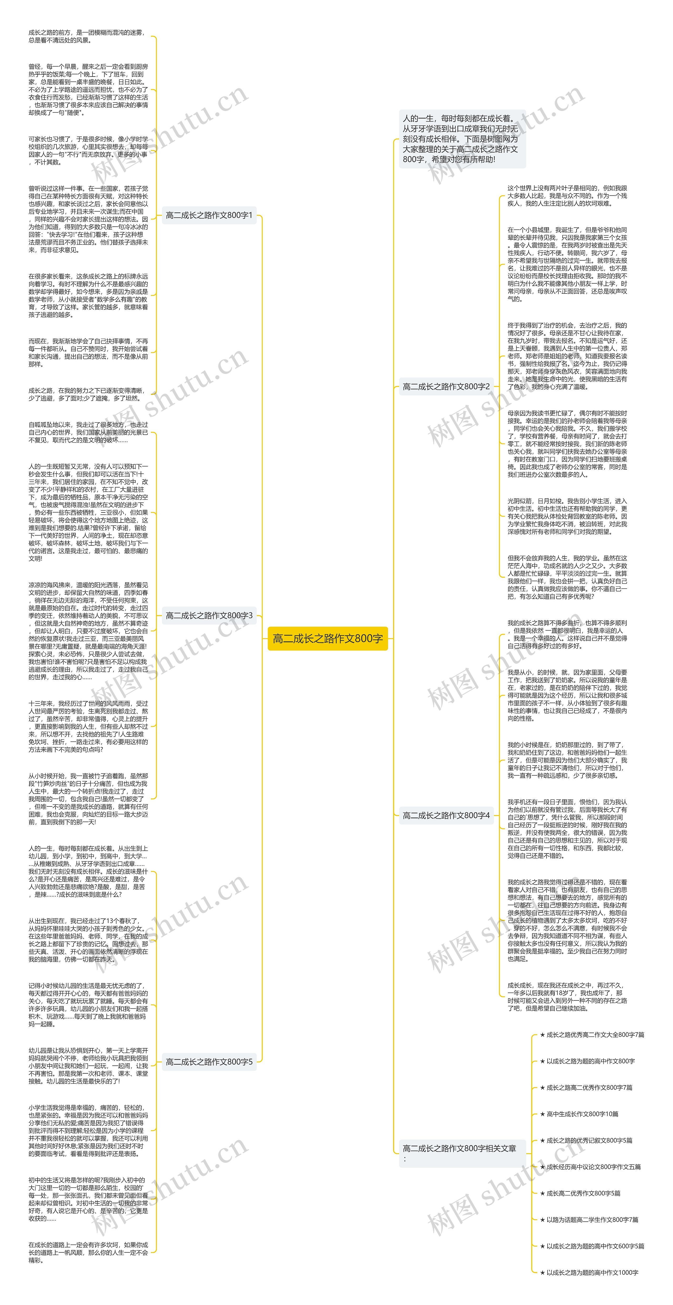 高二成长之路作文800字思维导图