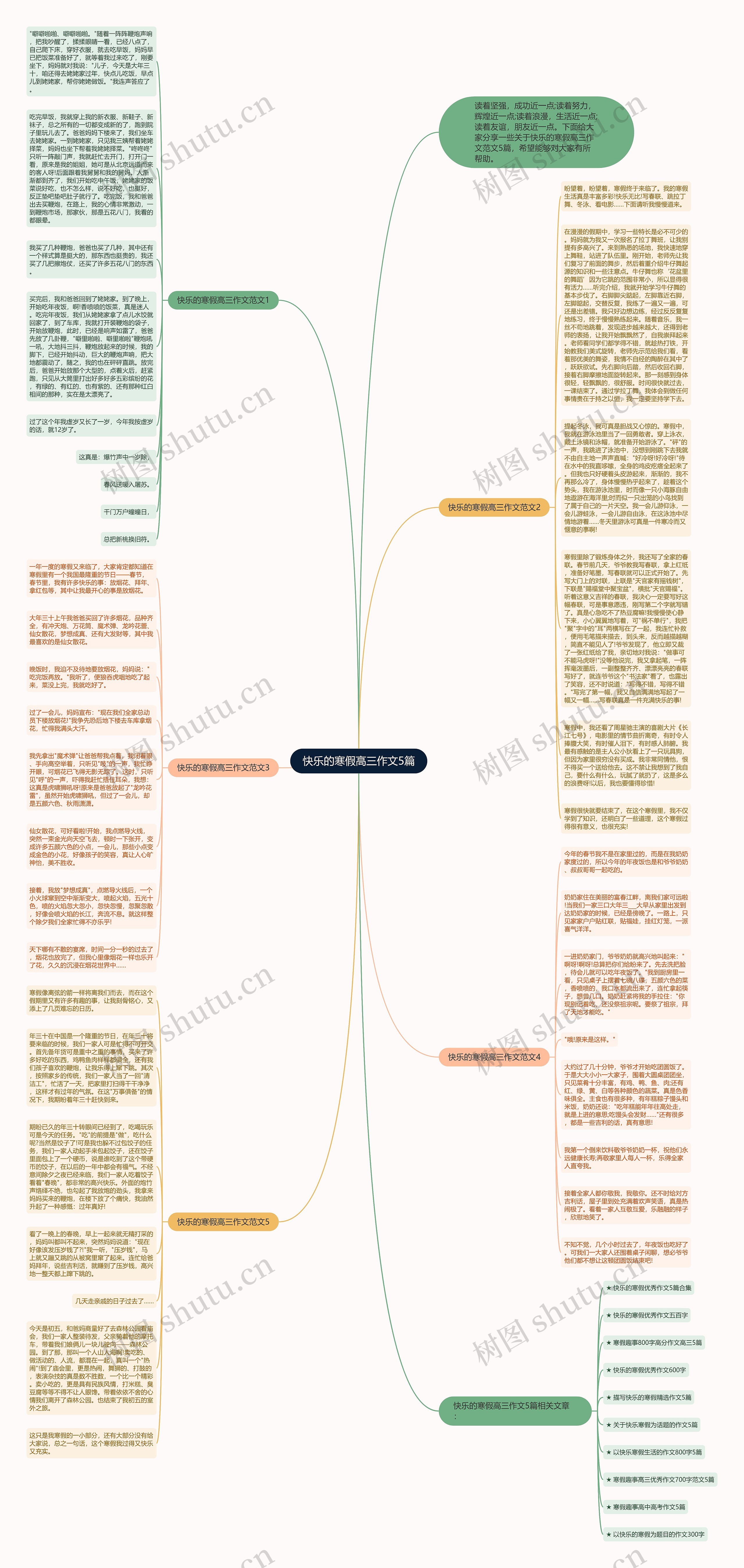 快乐的寒假高三作文5篇思维导图