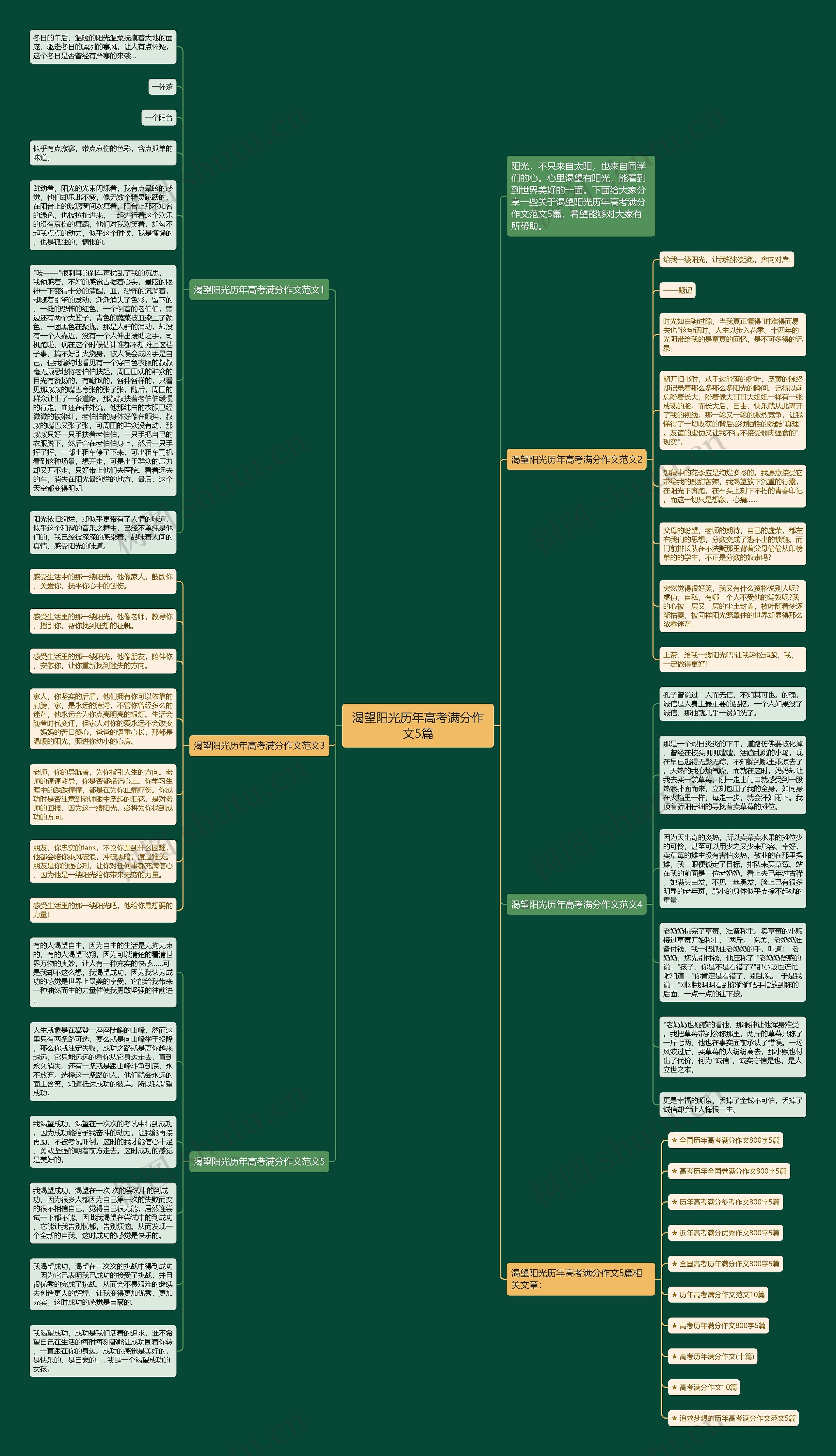 渴望阳光历年高考满分作文5篇思维导图