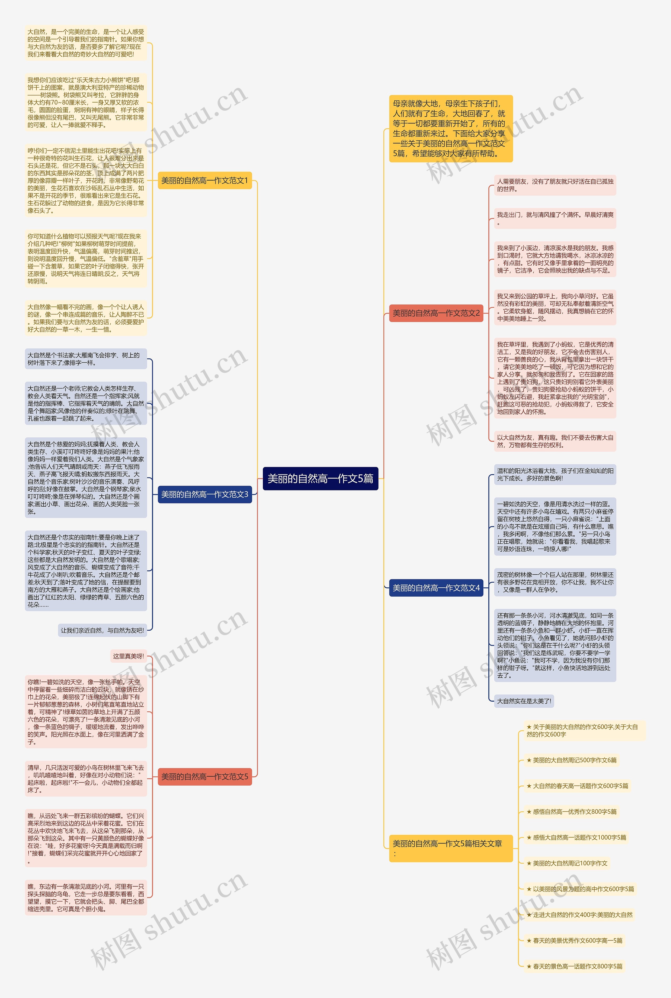 美丽的自然高一作文5篇思维导图