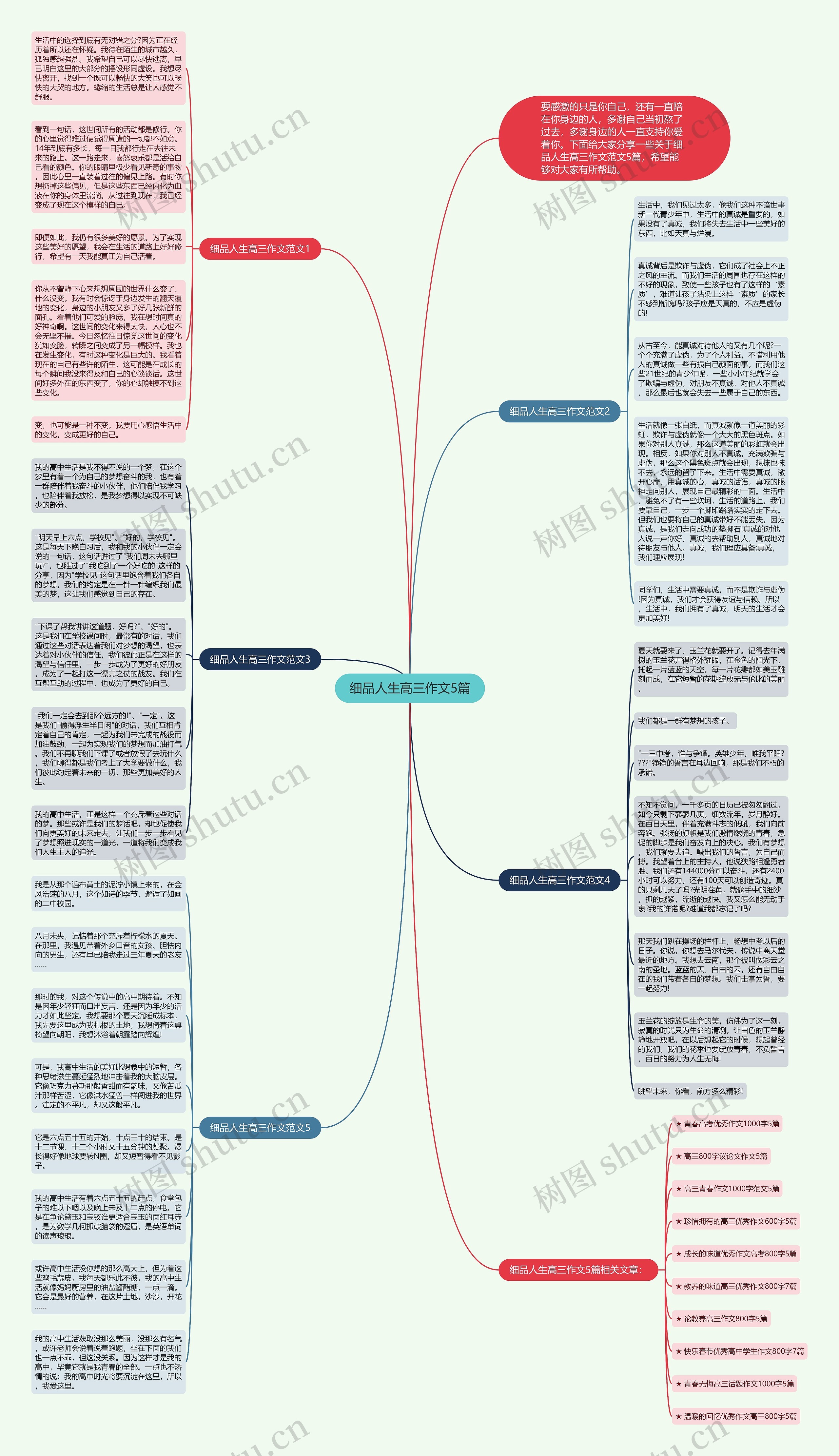 细品人生高三作文5篇思维导图