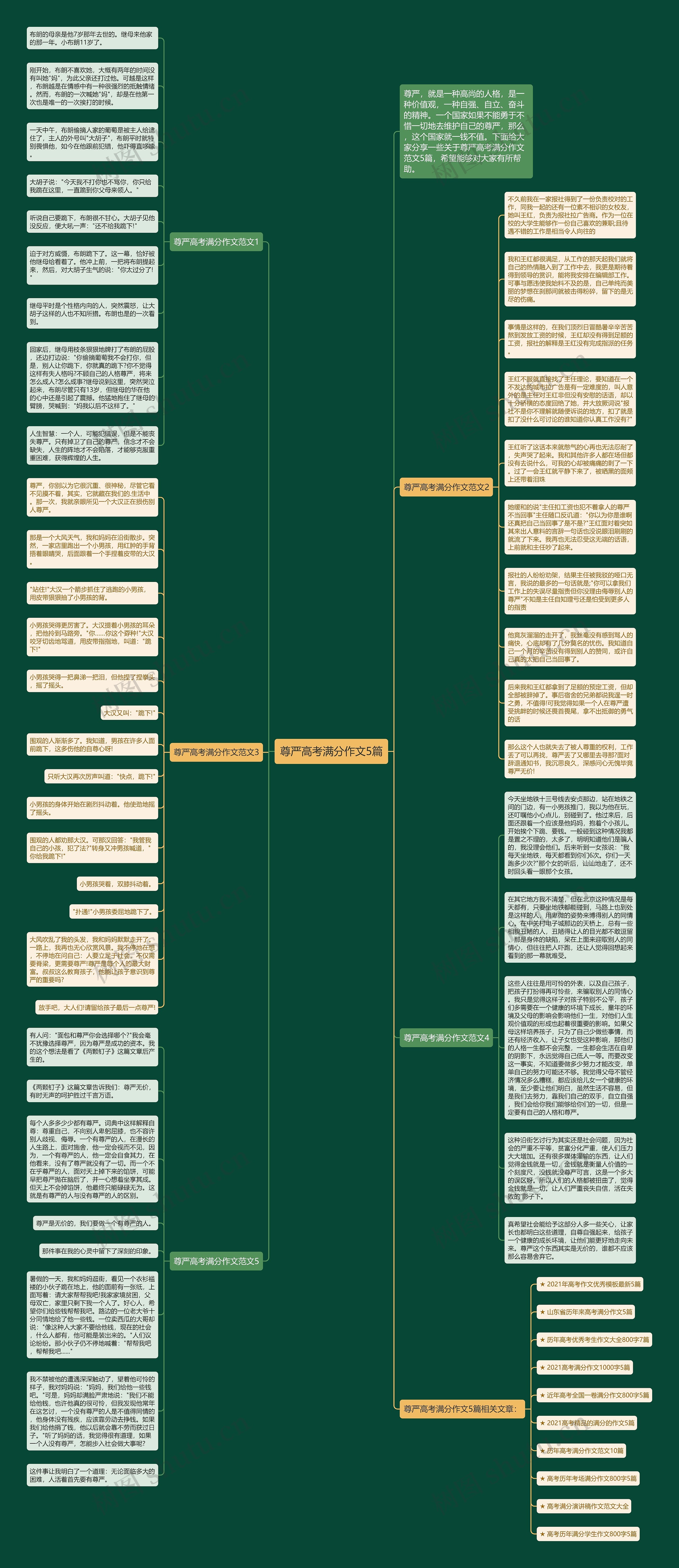 尊严高考满分作文5篇思维导图